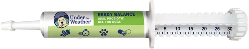 Oral Probiotic and Prebiotic Gel for Dogs | Ready Balance Supplement for Under the Weather Pets