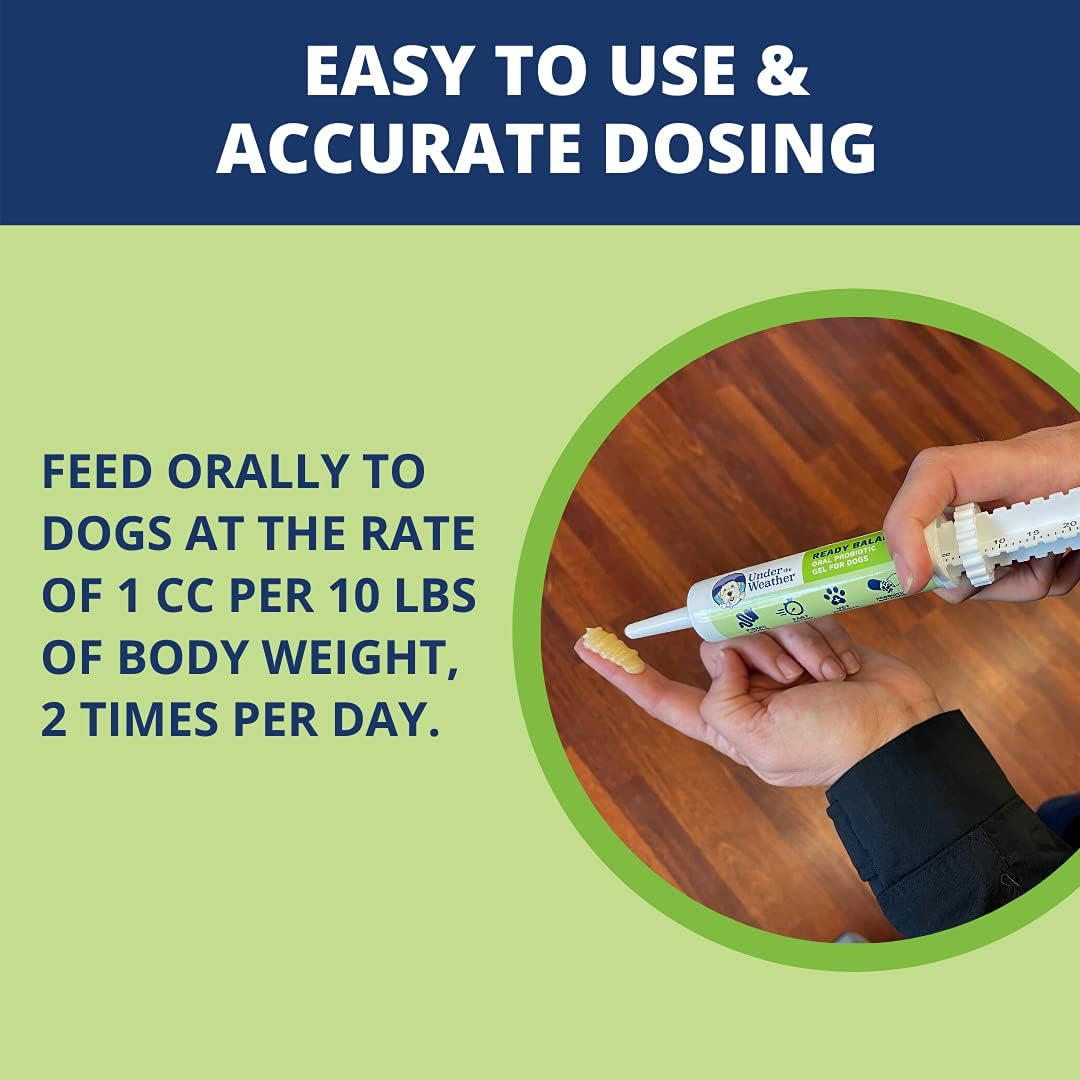 Oral Probiotic and Prebiotic Gel for Dogs | Ready Balance Supplement for Under the Weather Pets
