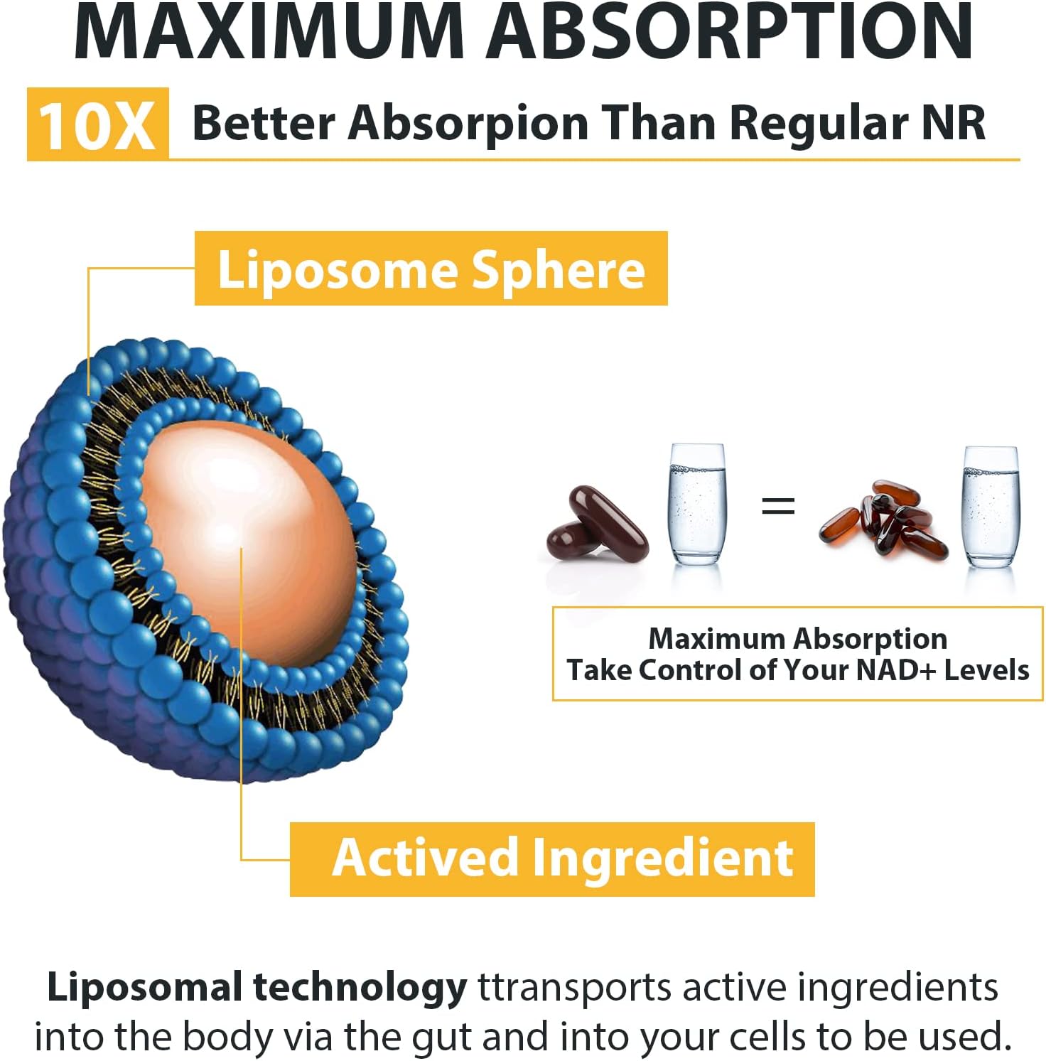Orgabay Liposomal Nicotinamide Riboside 2000MG with TMG and Pterostilbene, NAD+ Booster for Healthy Aging, 60 Capsules