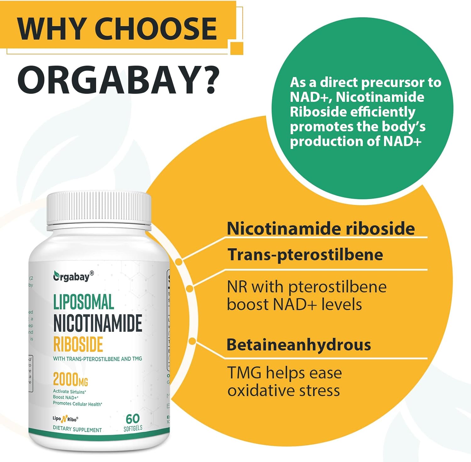 Orgabay Liposomal Nicotinamide Riboside 2000MG with TMG and Pterostilbene, NAD+ Booster for Healthy Aging, 60 Capsules