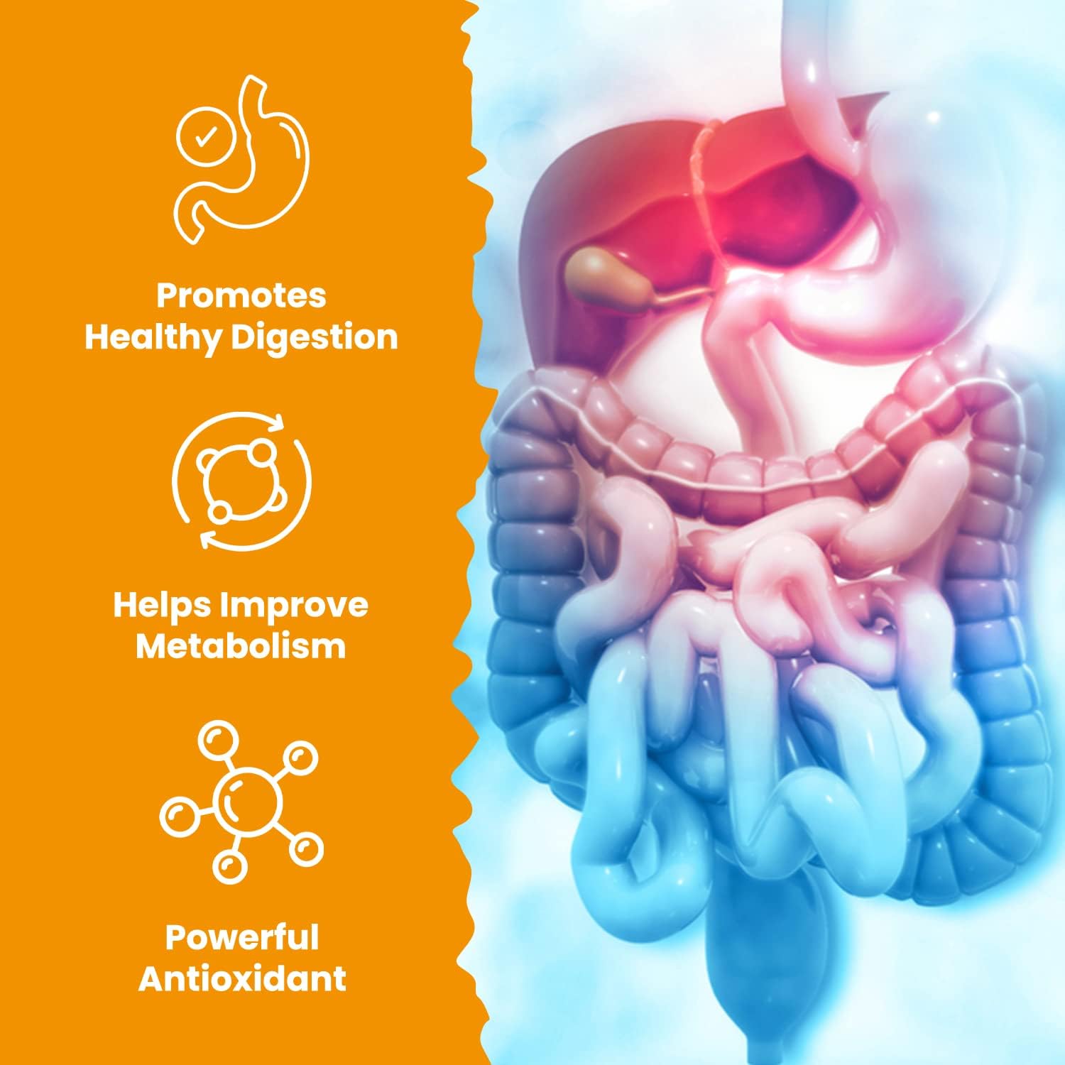 Organatural Turmeric Curcumin with BioPerine & Ginger - 95% Standardized Curcuminoids for Joint Support - Antioxidant Supplement - Non-GMO - 60 Capsules