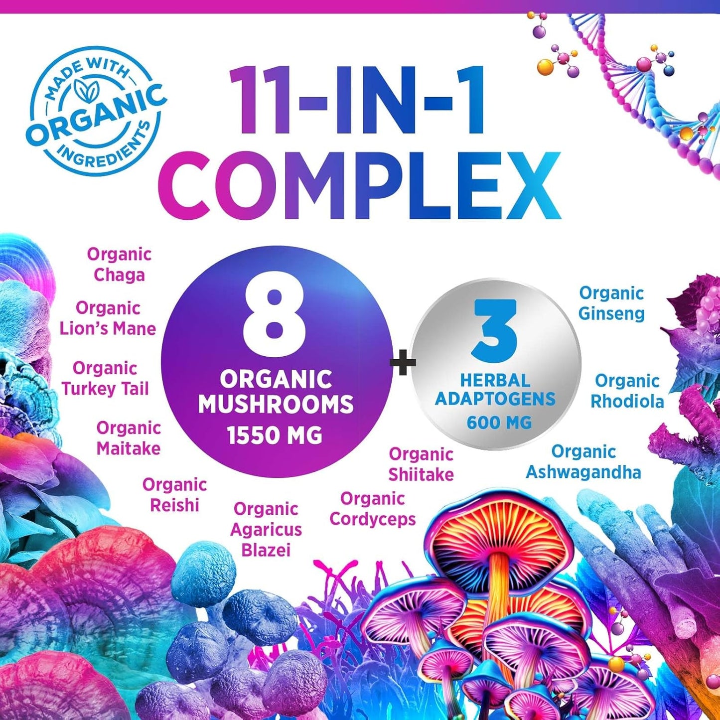 Organic 11-in-1 Mushroom Extract Powder Supplement for Energy & Immune Support - Lions Mane, Reishi, Cordyceps, Chaga, Turkey Tail, Maitake - 60 Servings - BoostGo Australia