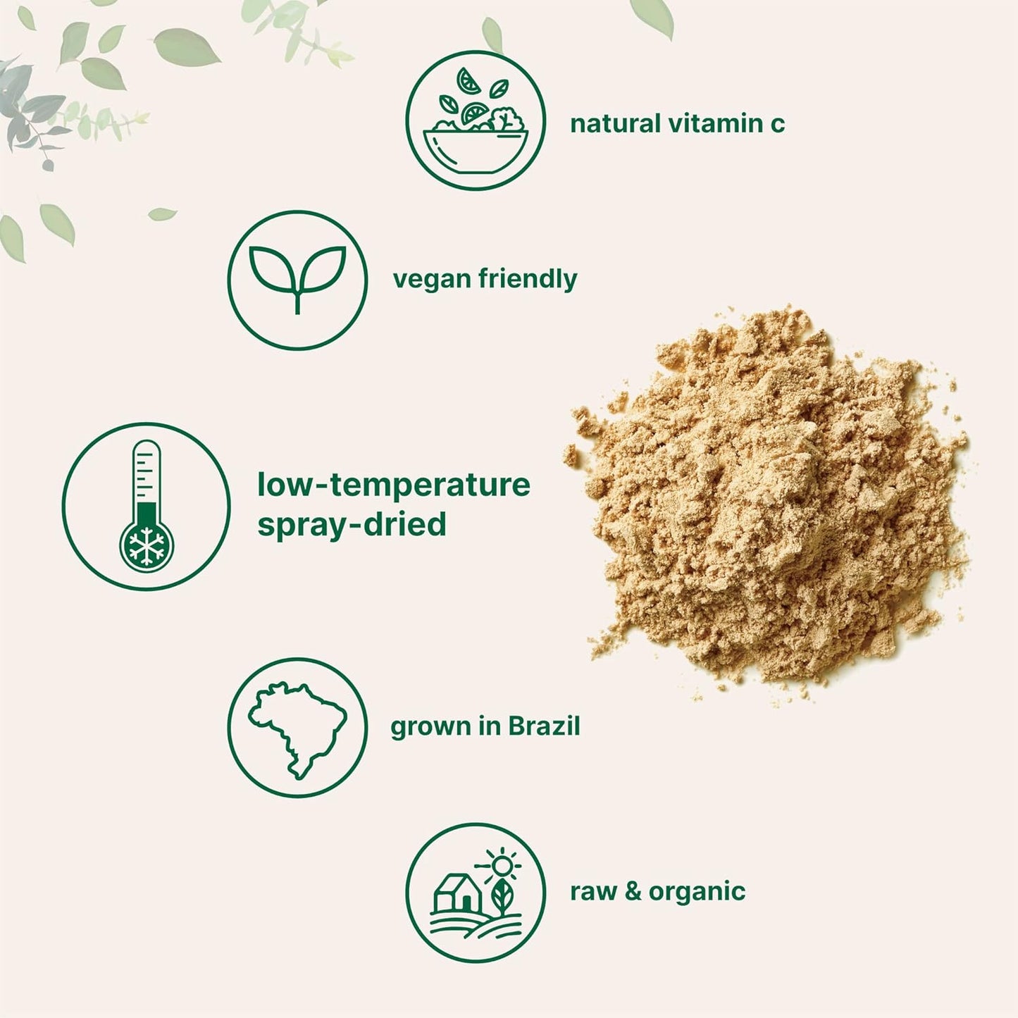 Organic Acerola Cherry Powder 2 Pack - Natural Vitamin C Boost for Immune System - 8oz USDA Organic, Non-GMO, Gluten-Free - Brazil-Origin