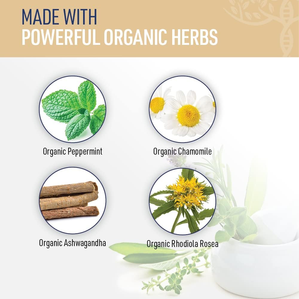 Organic Adaptogenic Herbs for Relaxation with Magnesium, B Vitamins, and GABA - Liver Medic Zen Calm (60 Veggie Caps)