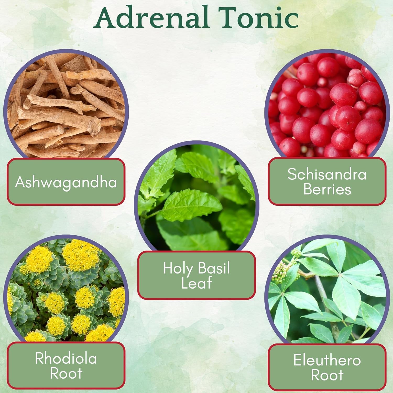 Organic Adrenal Tonic Tincture with Adaptogens - Alcohol-Free Herbal Blend for Stress Relief - Ashwagandha, Rhodiola, Eleuthero - 4 fl oz