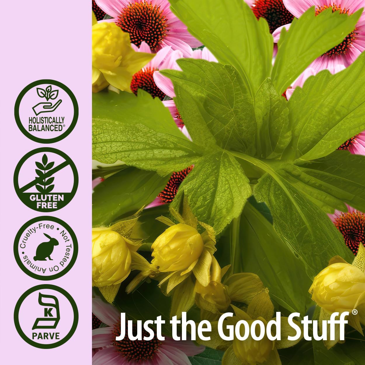 Organic Alcohol Echinacea & Goldenseal Blend for Immune Support & Inflammation Reduction - 2oz
