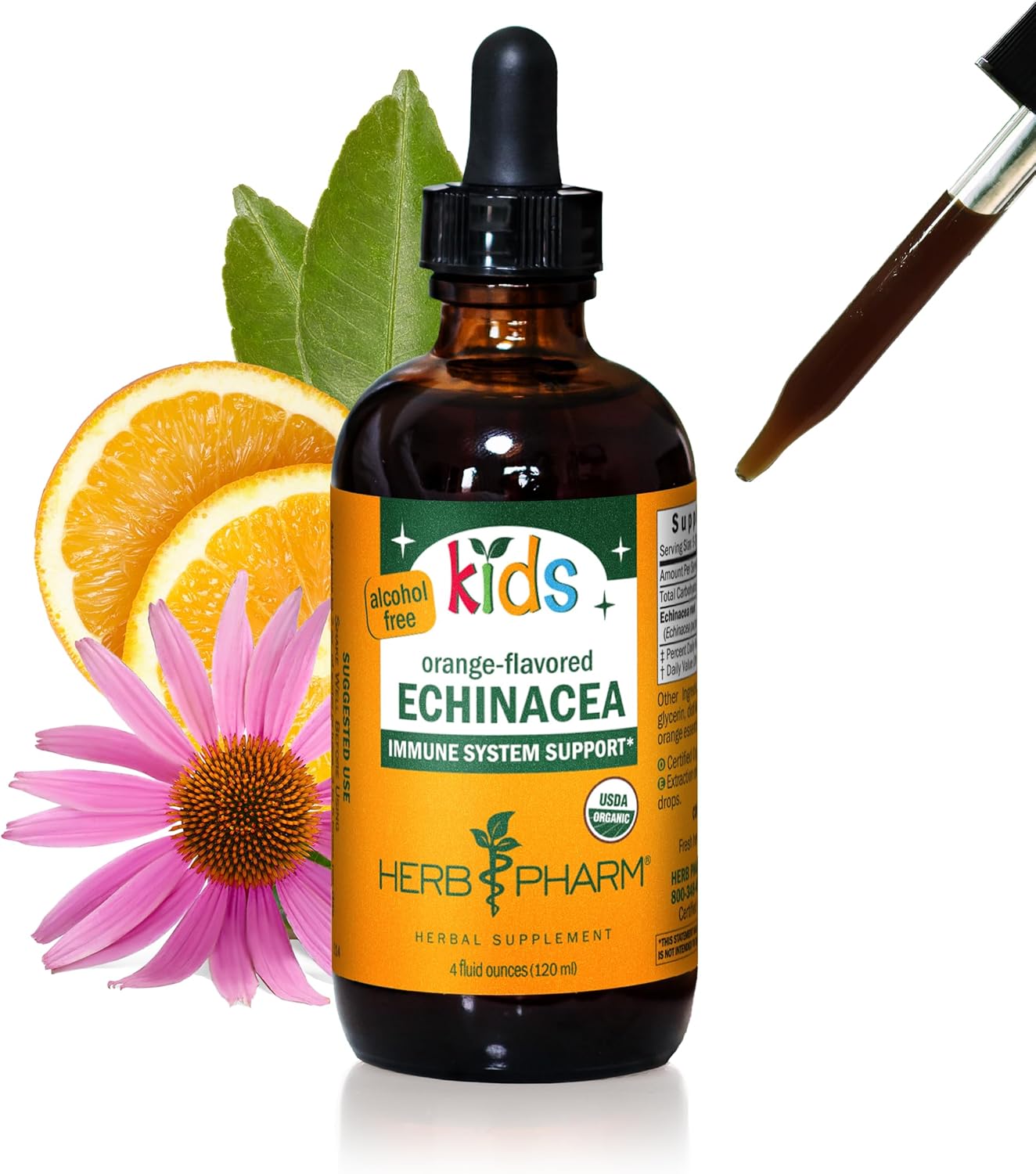 Organic Alcohol-Free Echinacea Glycerite Liquid Extract for Kids - 4 oz by Herb Pharm