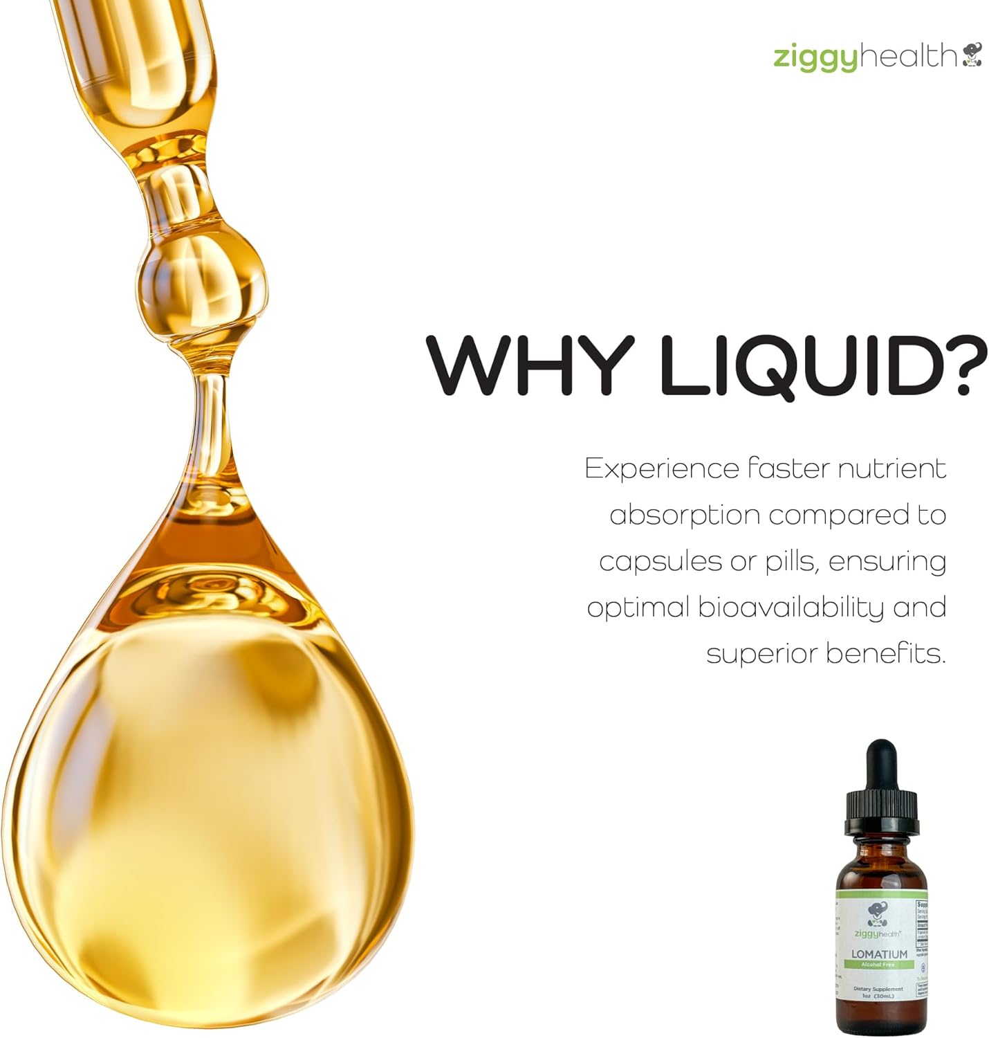 Organic Alcohol-Free Lomatium Root Extract Tincture Drops for Immune & Lung Support - 1oz - Ziggy Health
