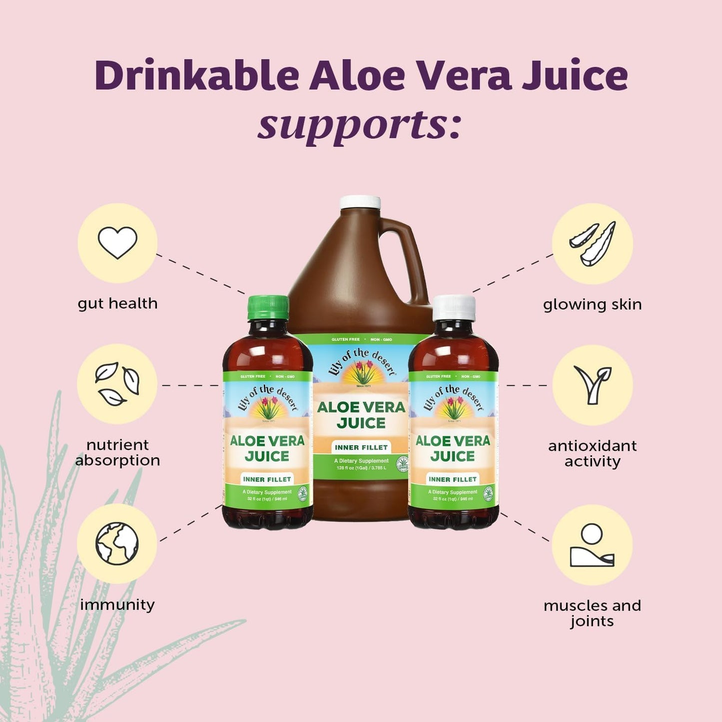 Organic Aloe Vera Juice - Inner Fillet Drink with Vitamins & Enzymes for Gut Health - 32 Fl Oz (2 Pack)