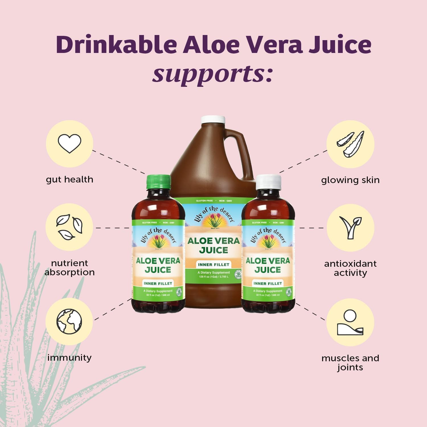 Organic Aloe Vera Juice - Inner Fillet Drink with Vitamins & Enzymes for Gut Health - 32 Fl Oz (2 Pack)