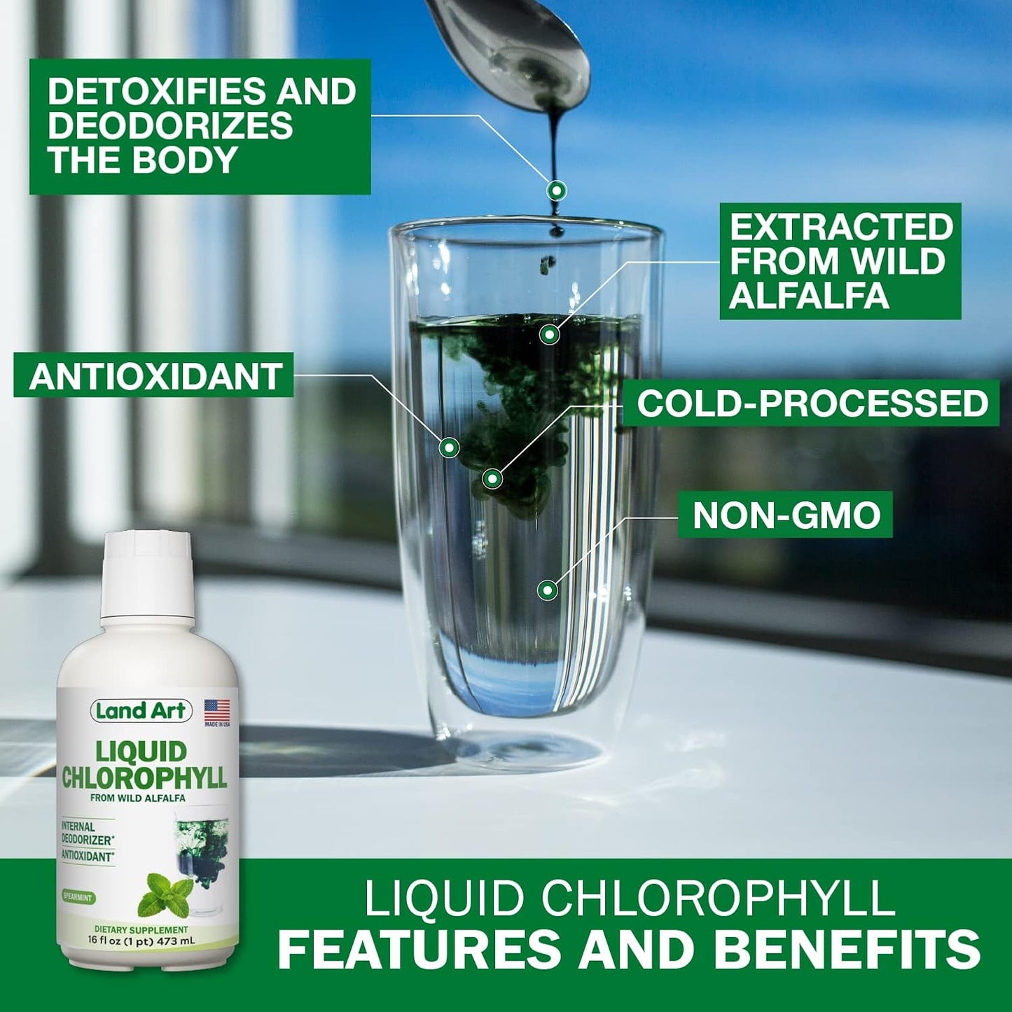 Organic Aloe Vera Juice with Pomegranate Flavor + Mint Liquid Chlorophyll Extract - Cold Processed and Cold Extracted - 64floz + 16floz