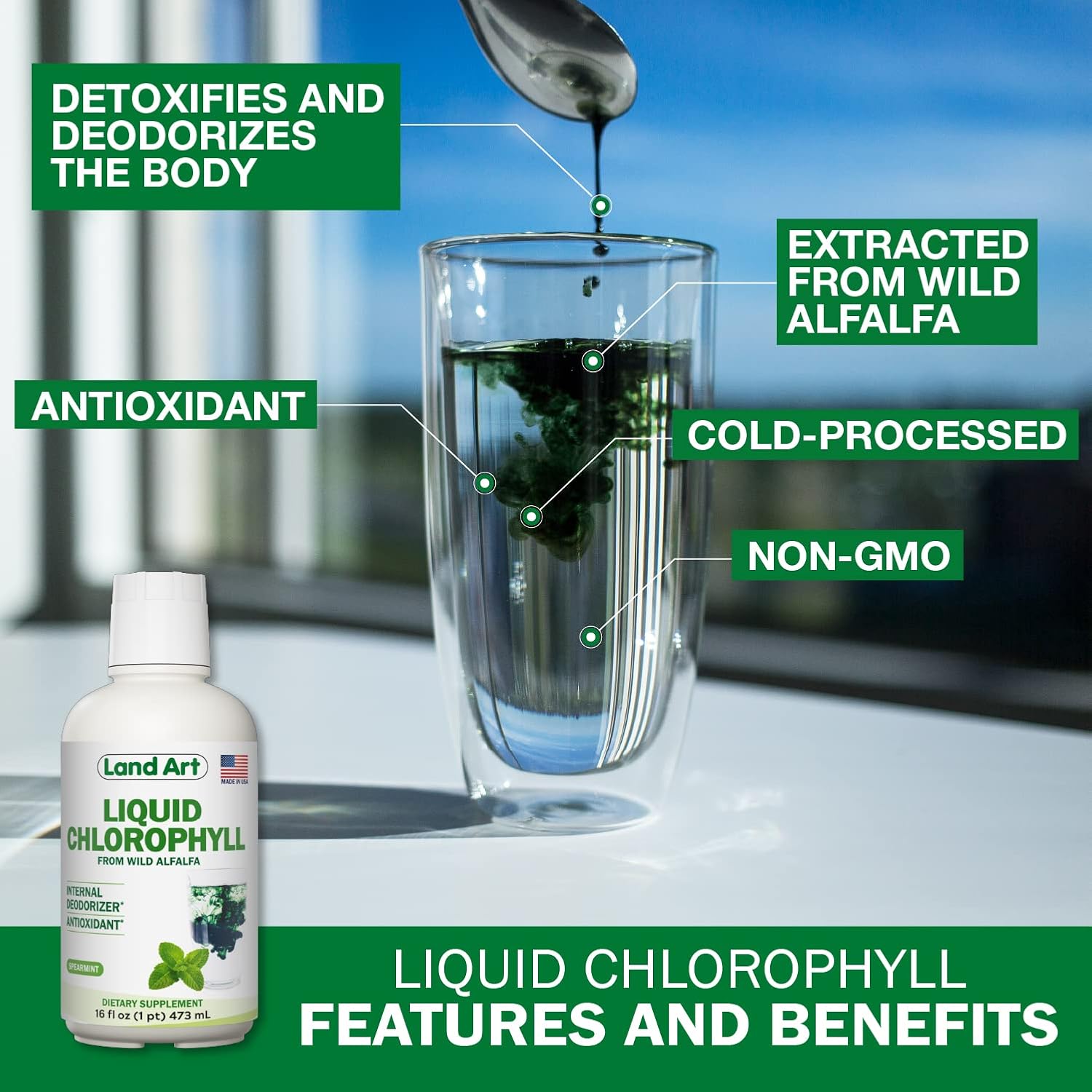 Organic Aloe Vera Juice with Pomegranate Flavor + Mint Liquid Chlorophyll Extract - Cold Processed and Cold Extracted - 64floz + 16floz
