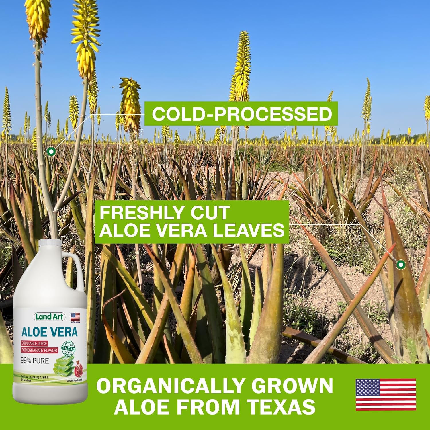 Organic Aloe Vera Juice with Pomegranate Flavor + Mint Liquid Chlorophyll Extract - Cold Processed and Cold Extracted - 64floz + 16floz