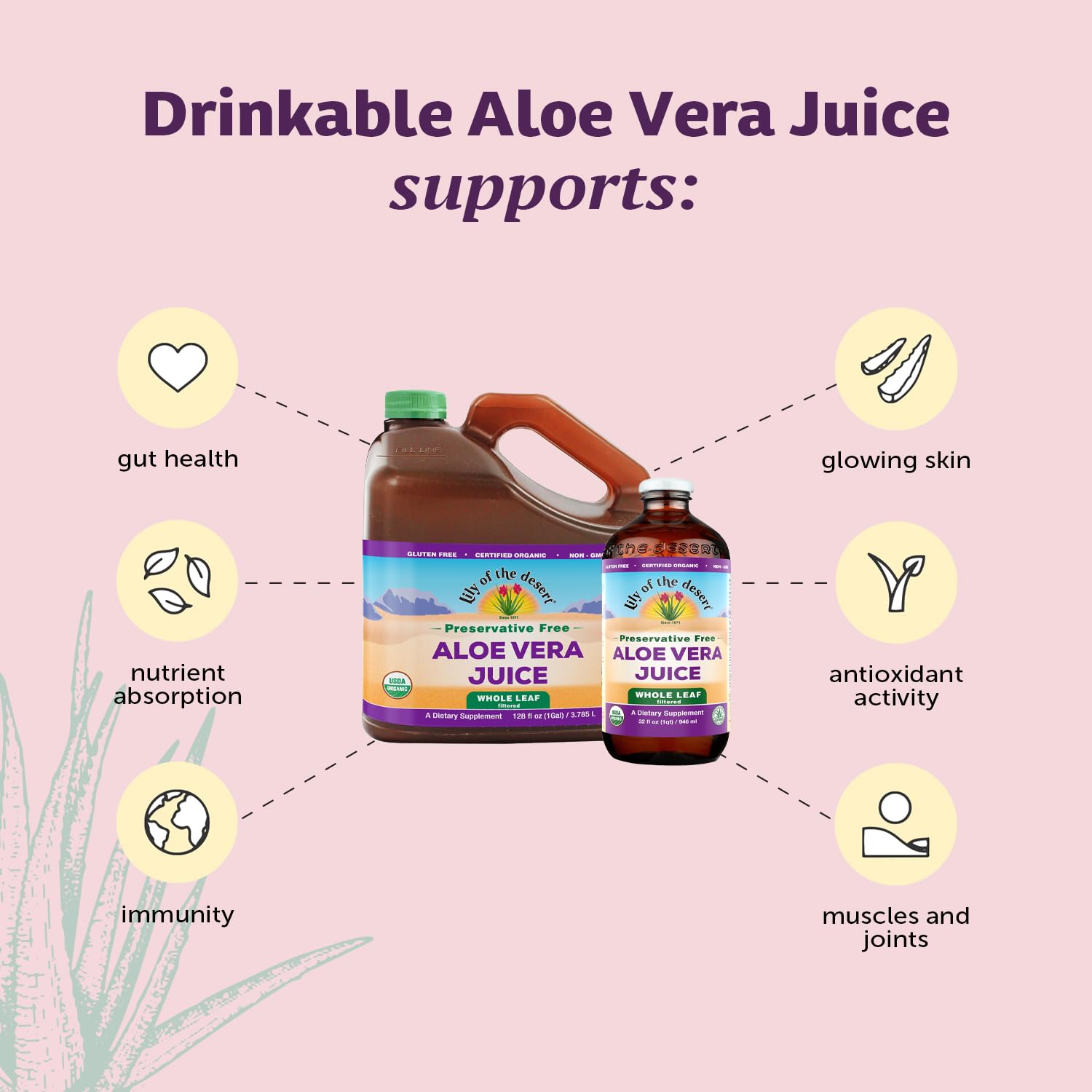 Organic Aloe Vera Whole Leaf Juice - Preservative Free, 32 oz by LILY OF THE DESERT