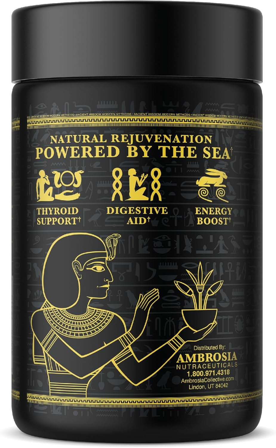 Organic Ambrosia Irish Sea Moss Capsules | 500 mg High Dose | Vegan-Friendly Capsules | Pure Sea Moss