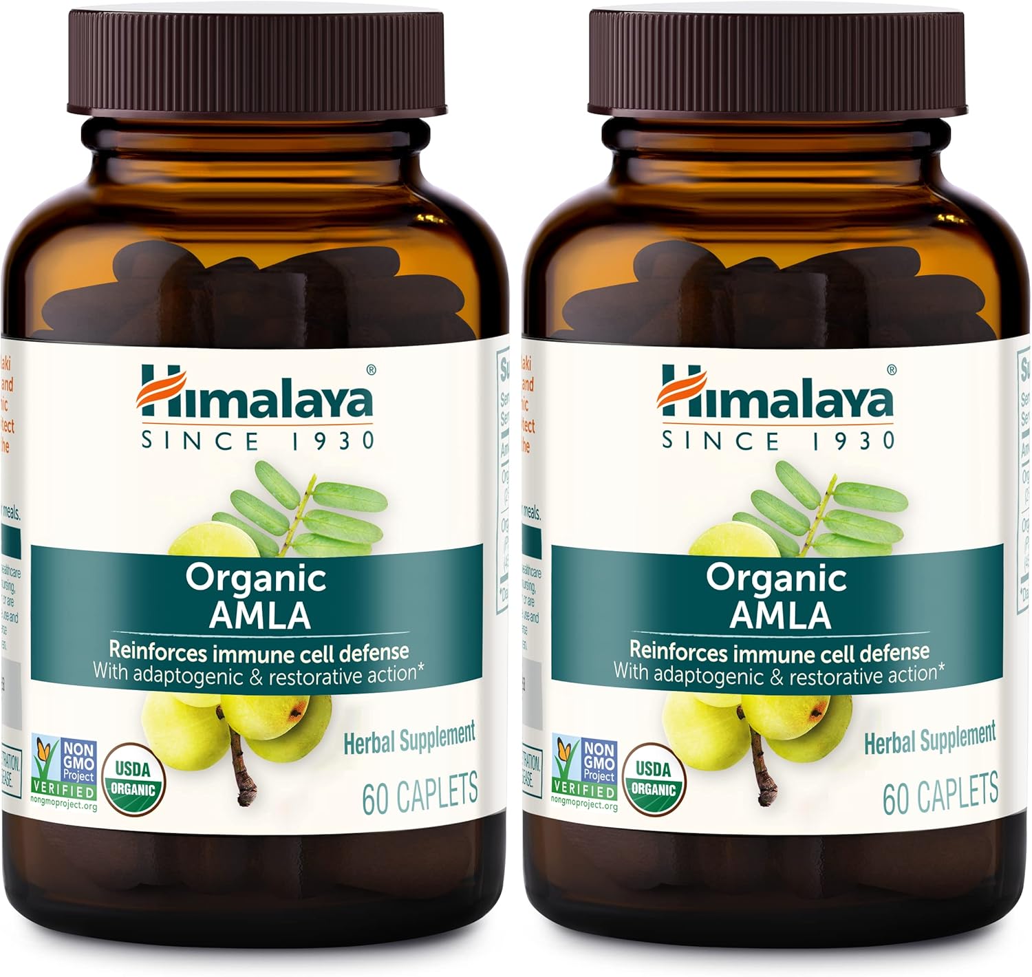 Organic Amla Caplets for Immune Support & Cellular Defense - 120 Caplets, 600 mg - 2 Month Supply - BoostGo Australia