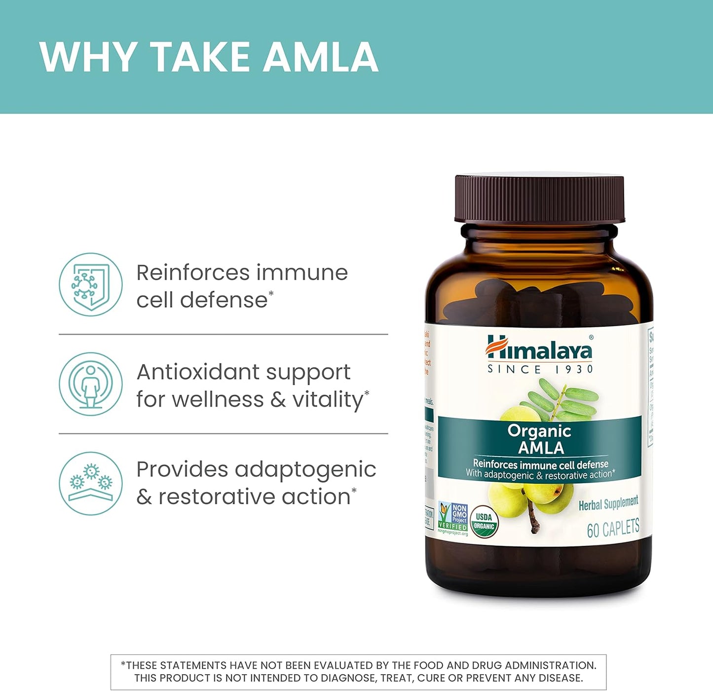 Organic Amla Caplets for Immune Support & Cellular Defense - 120 Caplets, 600 mg - 2 Month Supply - BoostGo Australia