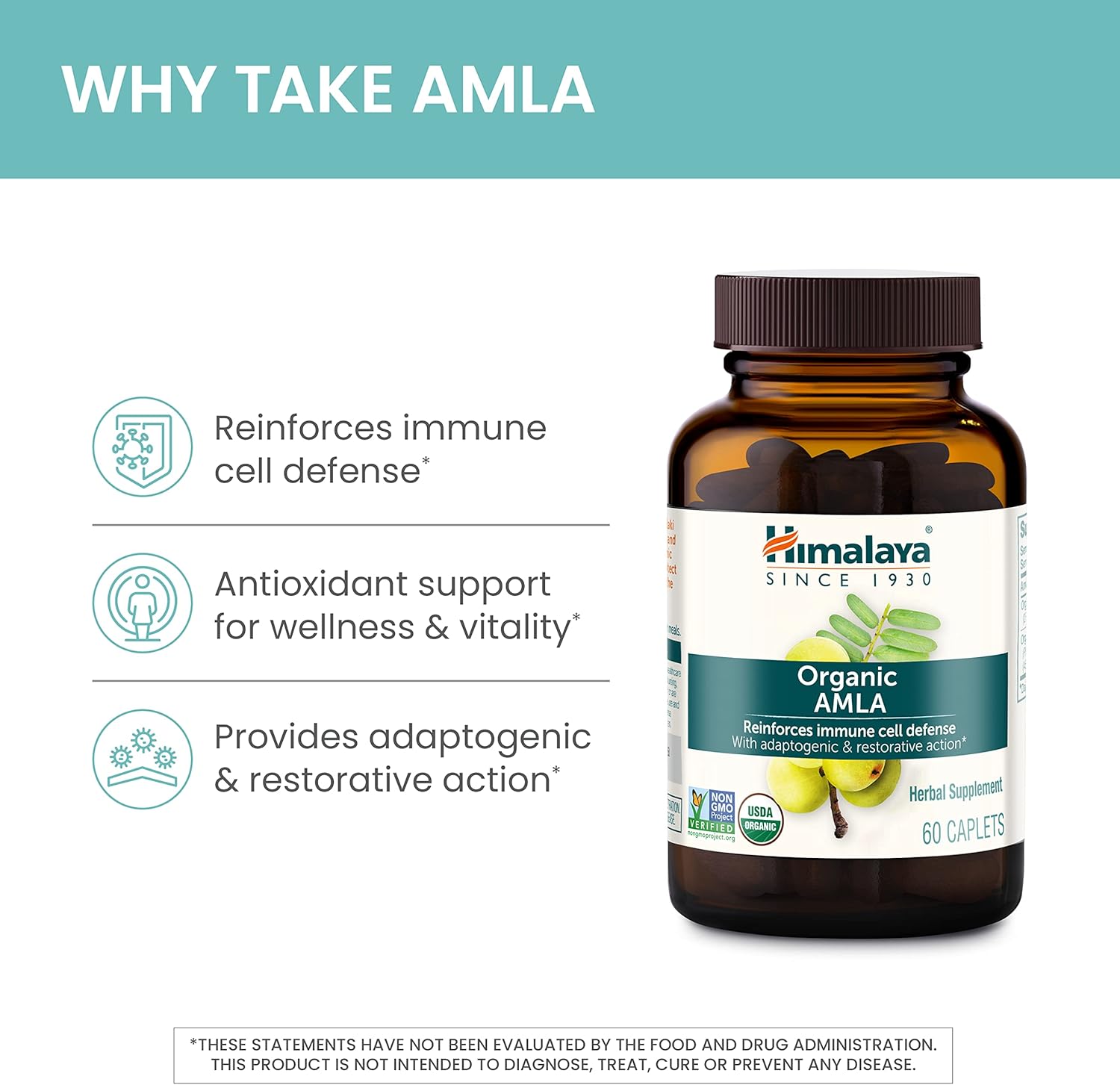 Organic Amla Caplets for Immune Support & Cellular Defense - 120 Caplets, 600 mg - 2 Month Supply - BoostGo Australia