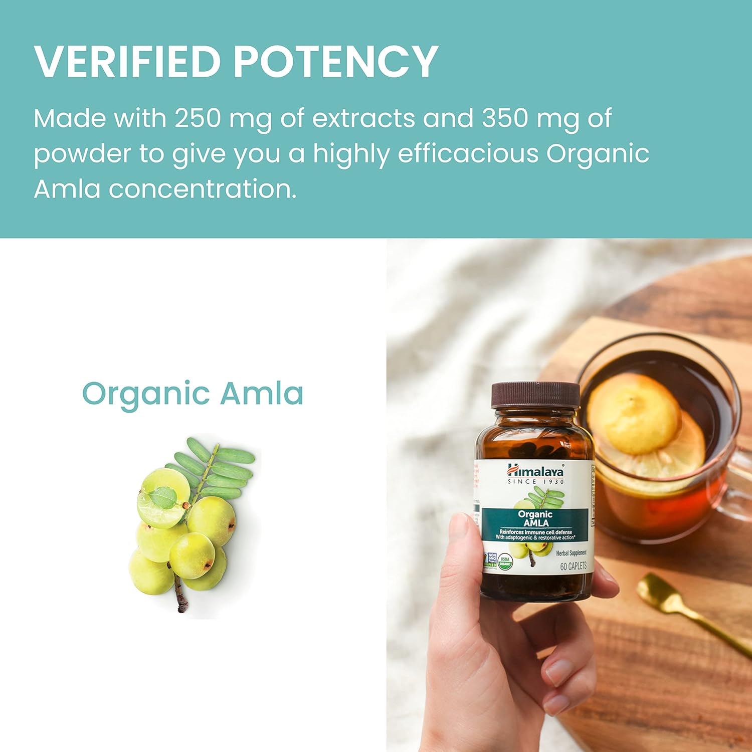 Organic Amla Caplets for Immune Support & Cellular Defense - 120 Caplets, 600 mg - 2 Month Supply - BoostGo Australia