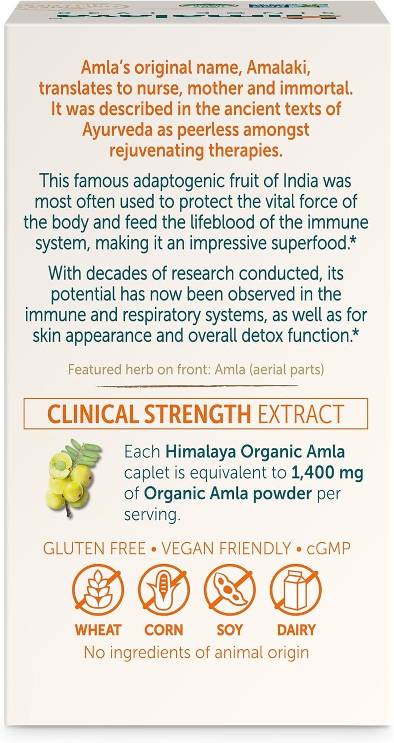 Organic Amla Caplets for Immune Support & Cellular Defense - 120 Caplets, 600 mg - 2 Month Supply - BoostGo Australia