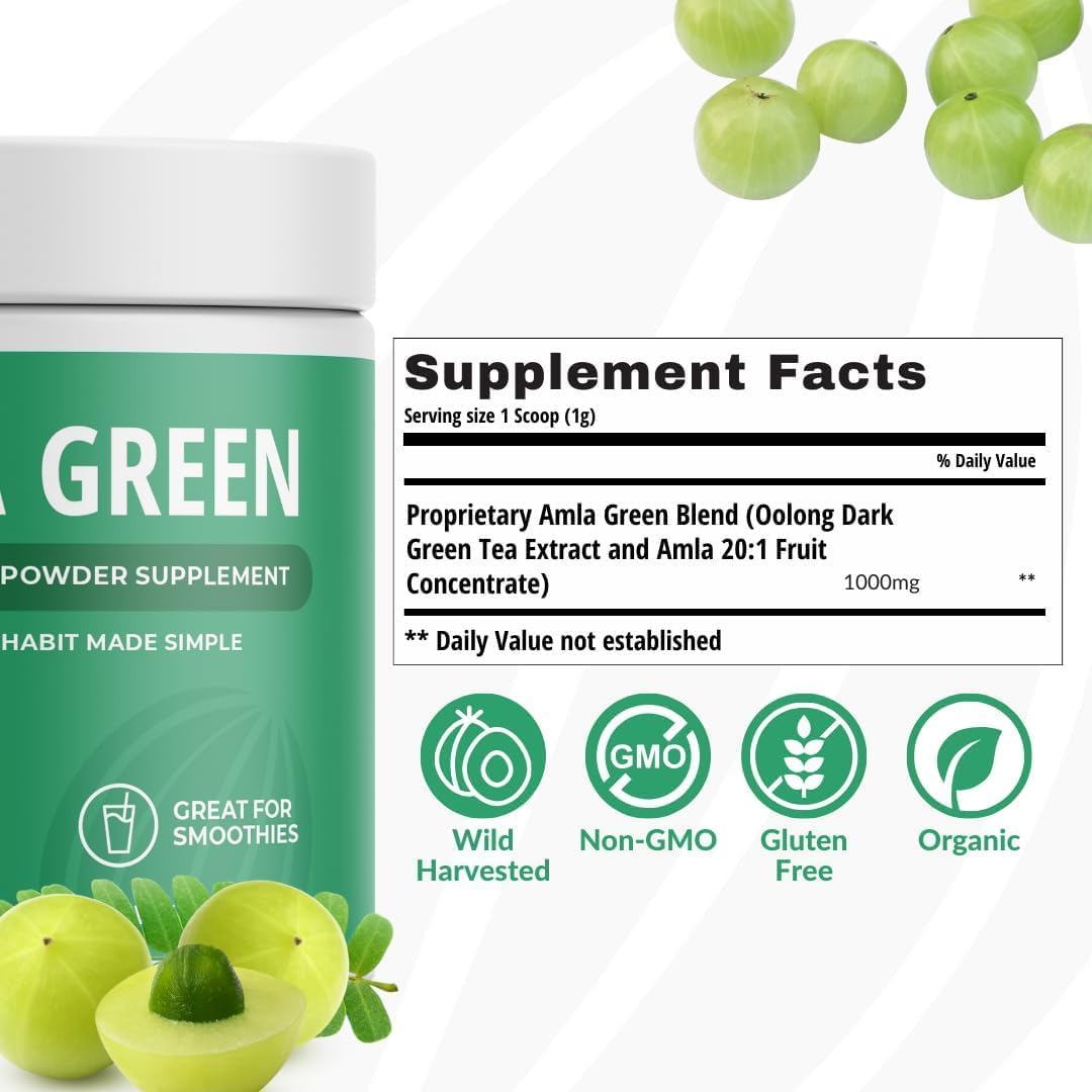 Organic Amla Green Tea Superfood Supplement with Elderberries & Indian Gooseberries - Antioxidant Support, Vegan (90 Servings)