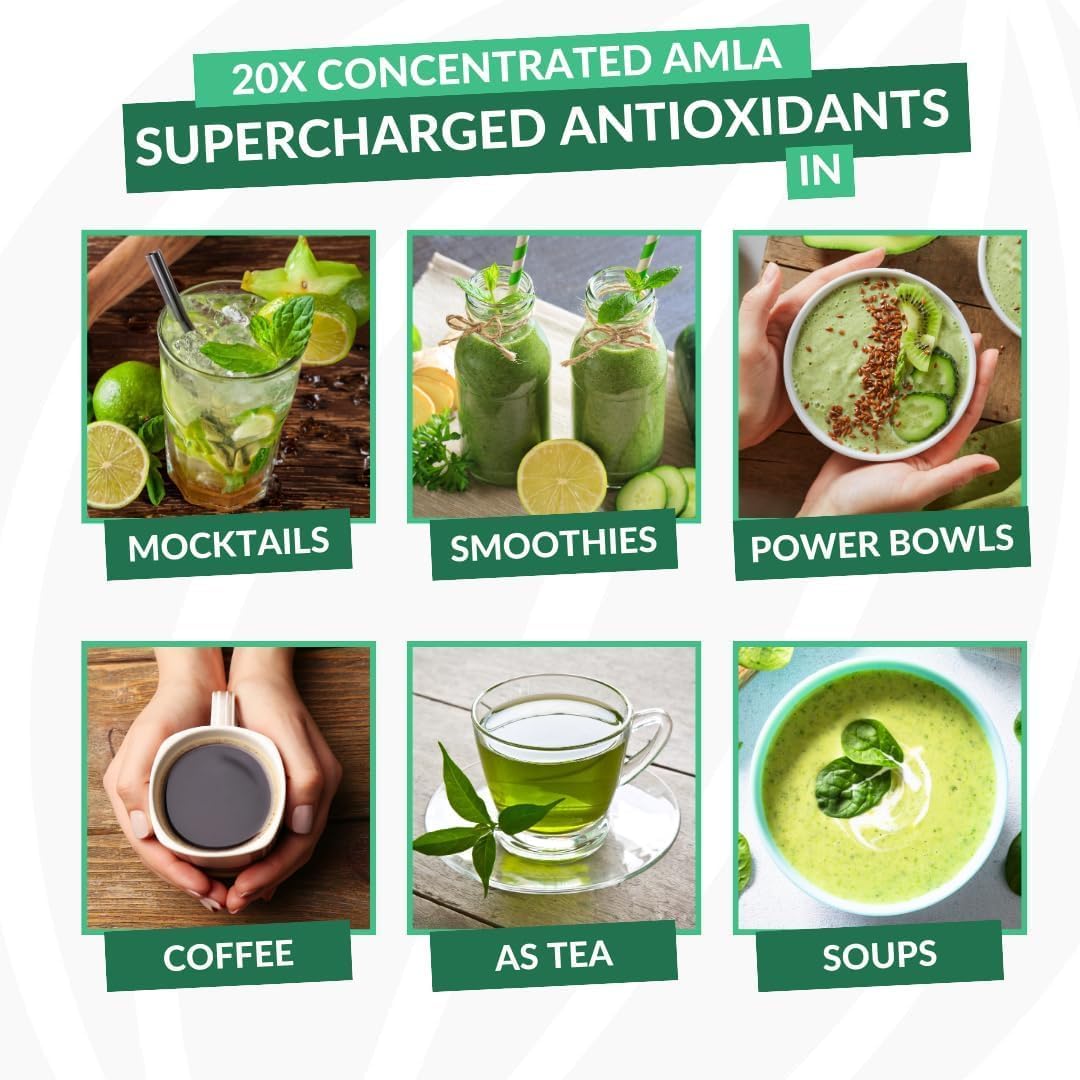 Organic Amla Green Tea Superfood Supplement with Elderberries & Indian Gooseberries - Antioxidant Support, Vegan (90 Servings)