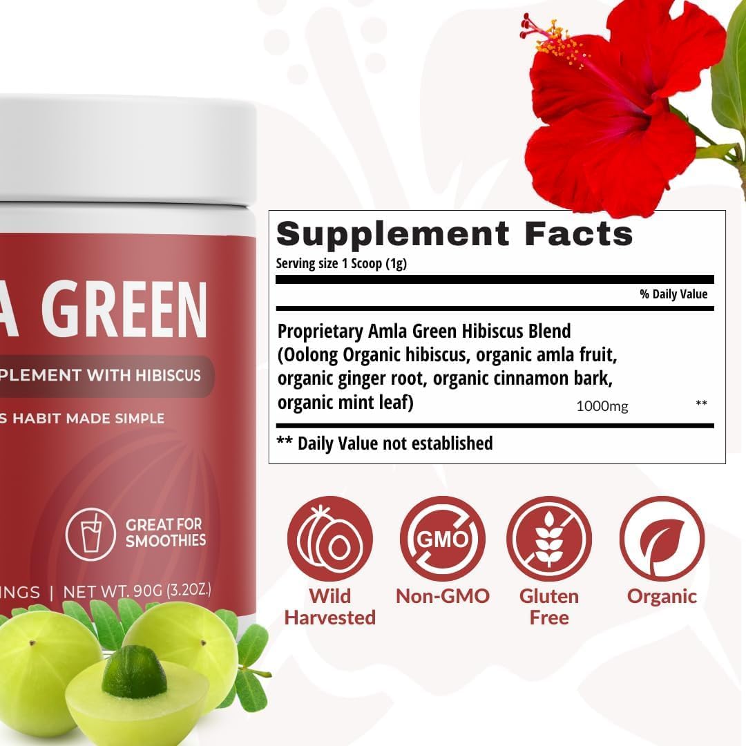 Organic Amla Green Tea Superfood Supplement with Hibiscus & Pumpkin Spice, Antioxidant Support (90 Servings) - Vegan