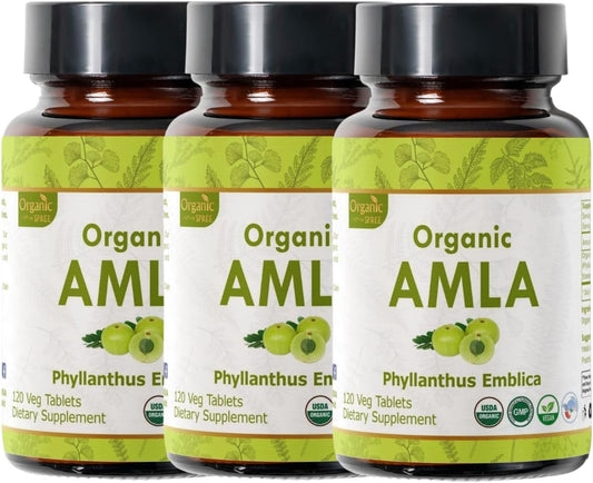 Organic Amla Tablets - Rich in Vitamin C & Antioxidants - Vegan & USDA Certified - Pack of 360 Tablets
