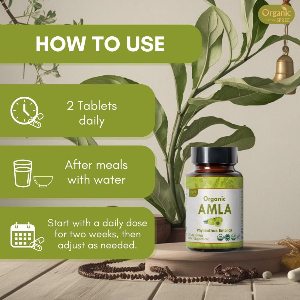 Organic Amla Tablets - Rich in Vitamin C & Antioxidants - Vegan & USDA Certified - Pack of 360 Tablets