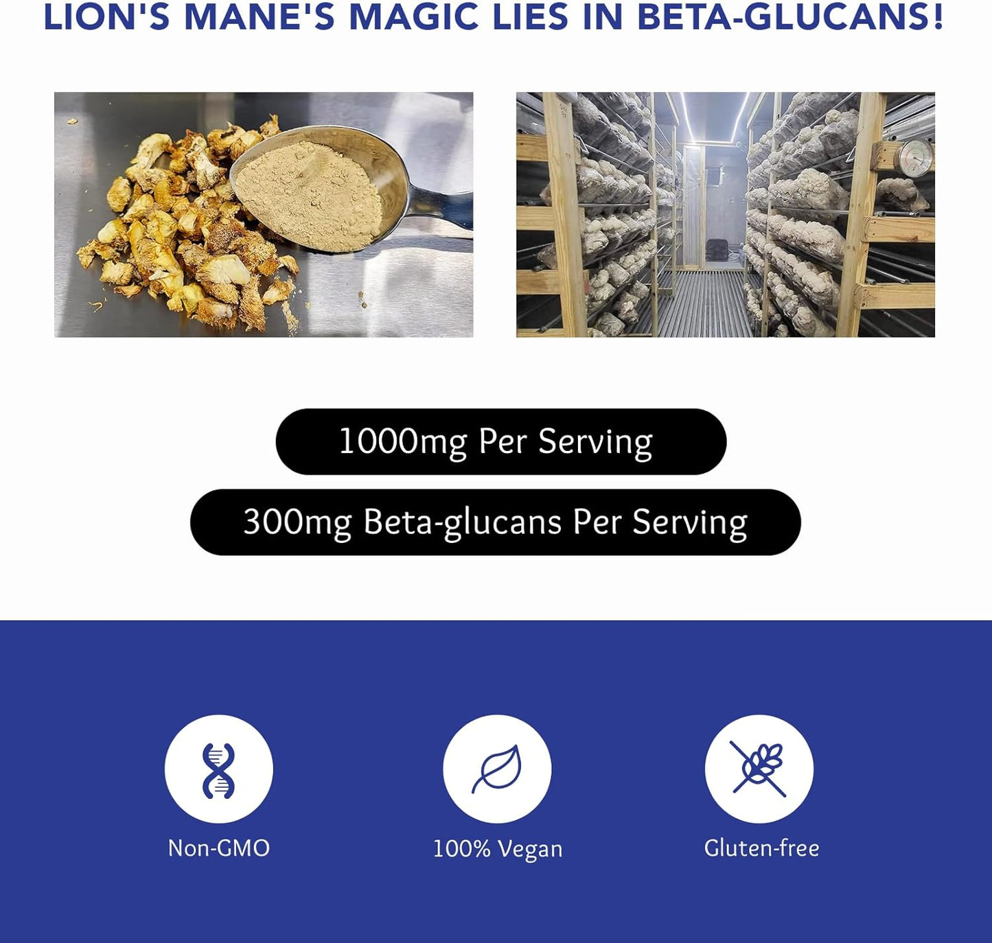 Organic ArchAngel Farms Lion's Mane Mushroom Powder for Memory, Focus, Immune Support - 60g, Non-GMO Supplement with Beta-Glucan for Digestion - 60-Day Supply