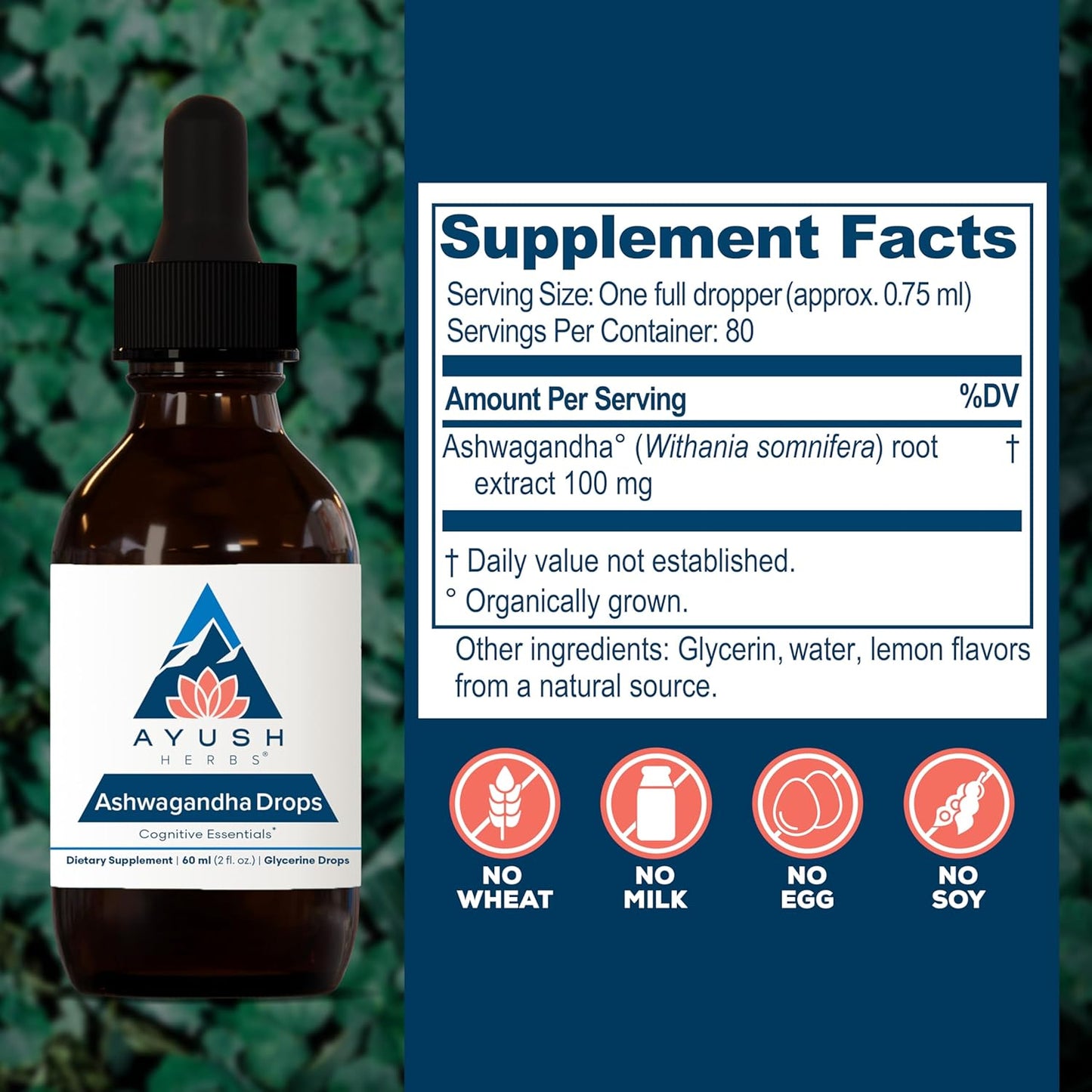 Organic Ashwagandha Alcohol-Free Drops - Lemon Flavored Supplement for Adults, Enhances Focus and Attention - 2 Fl Oz