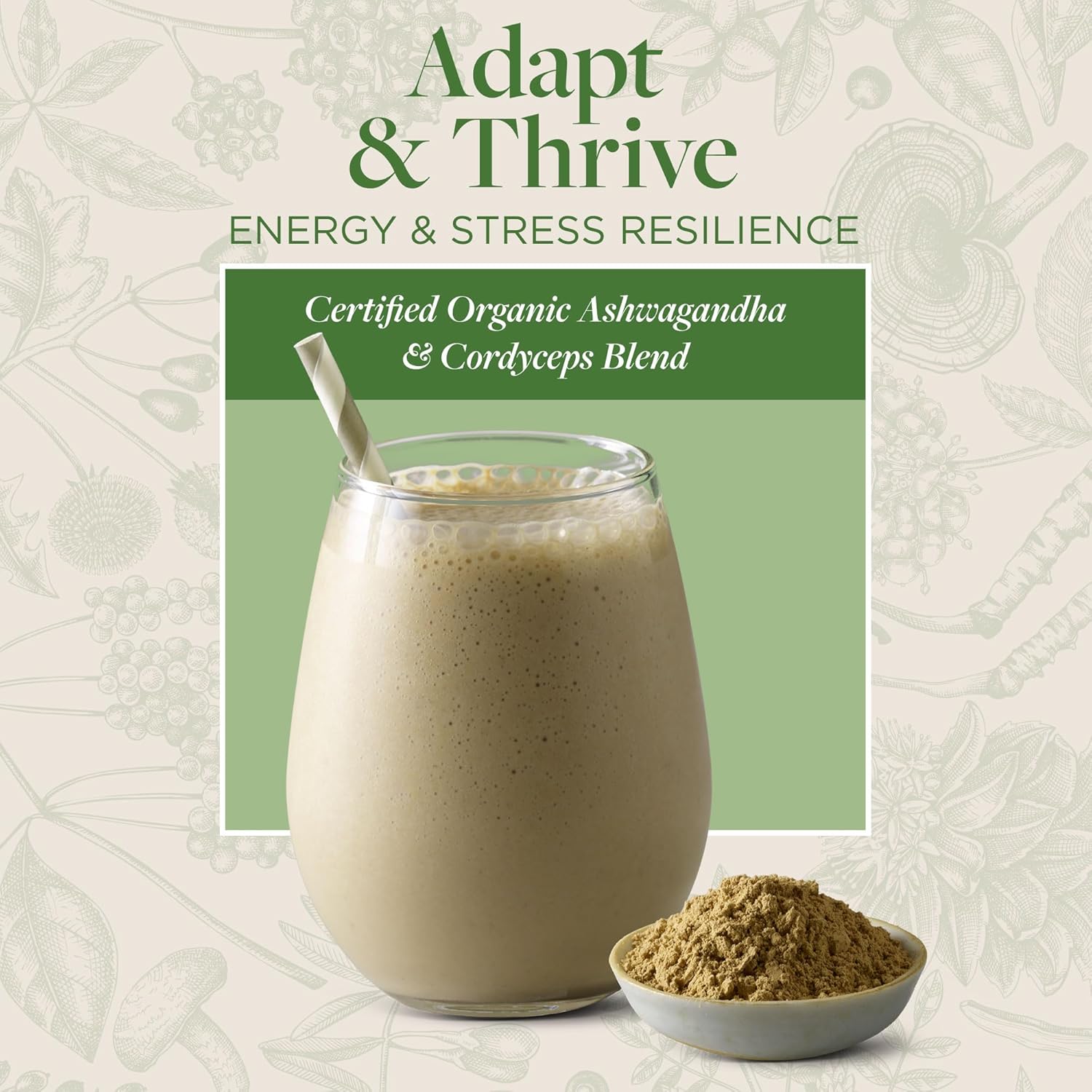 Organic Ashwagandha & Cordyceps Blend for Energy & Stress Resilience - Supports Healthy Adrenal Function, Coffee Alternative