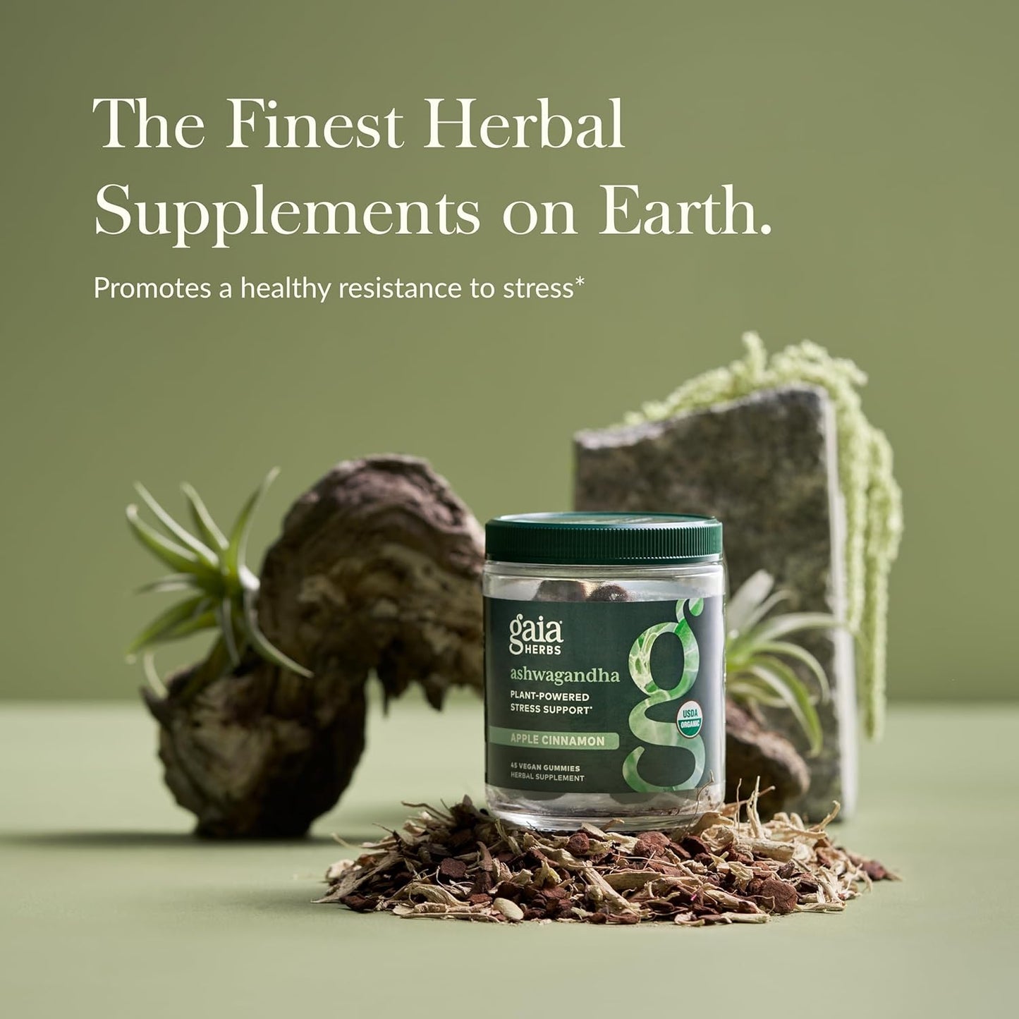 Organic Ashwagandha Gummies for Stress Support with Cinnamon and Ginger - Vegan and Gluten Free - 45 Count