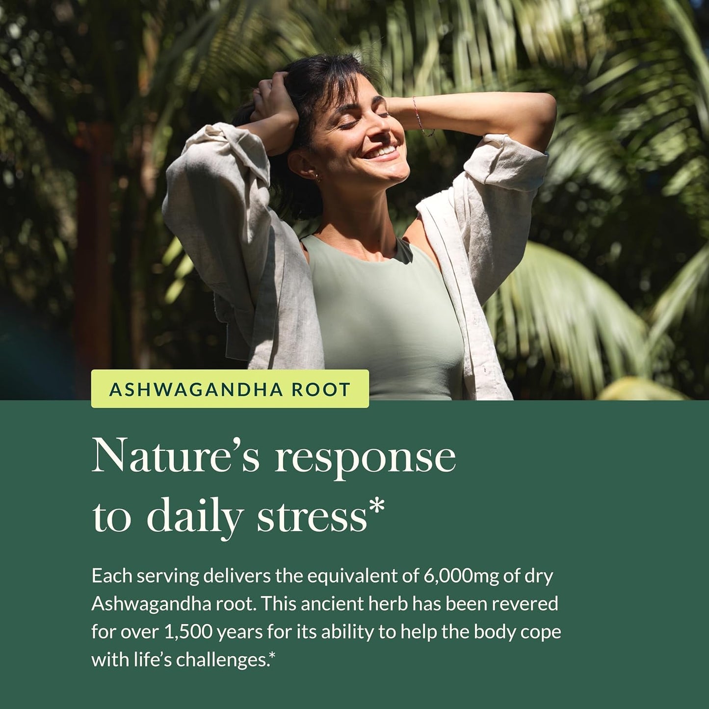 Organic Ashwagandha Gummies for Stress Support with Cinnamon and Ginger - Vegan and Gluten Free - 45 Count