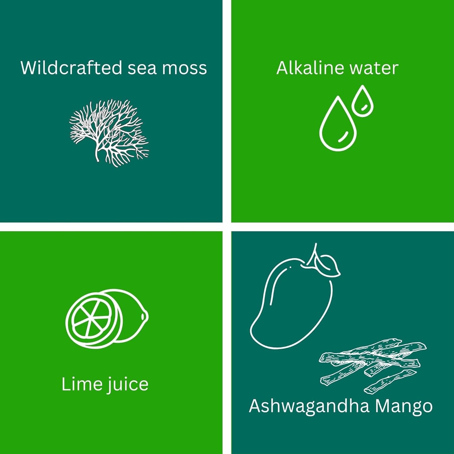 Organic Ashwagandha Mango Sea Moss Gel - 24oz | 25 Flavors | Saint Lucia Wildcrafted Gold Sea Moss - 92 Vitamins & Minerals | Raw & Non-GMO