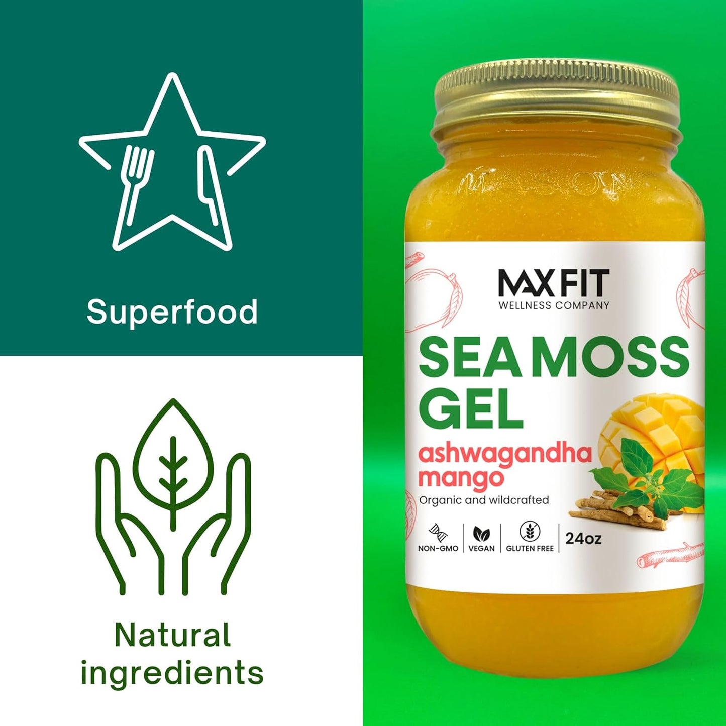 Organic Ashwagandha Mango Sea Moss Gel - 24oz | 25 Flavors | Saint Lucia Wildcrafted Gold Sea Moss - 92 Vitamins & Minerals | Raw & Non-GMO