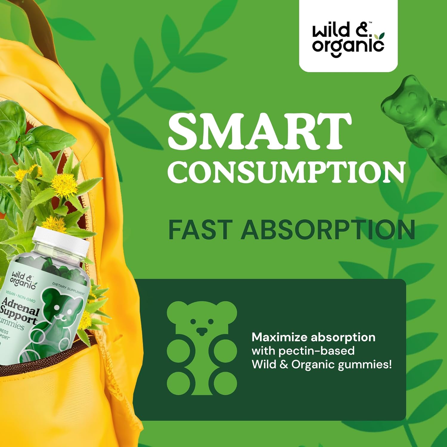 Organic Ashwagandha & Rhodiola Adrenal Support Gummies - Natural Supplements for Men and Women - 60 Pectin-Based Chews