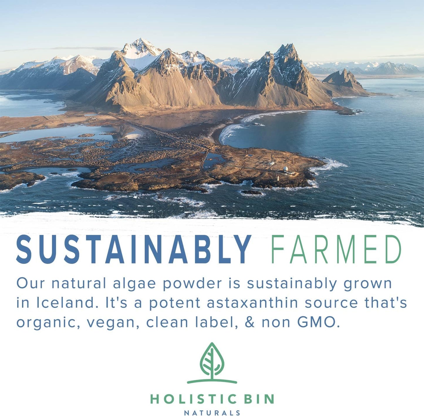 Organic Astaxanthin Powder | Powerful Antioxidant Supplement from Haematococcus Pluvialis Algae | 20g for Smoothies and Capsules