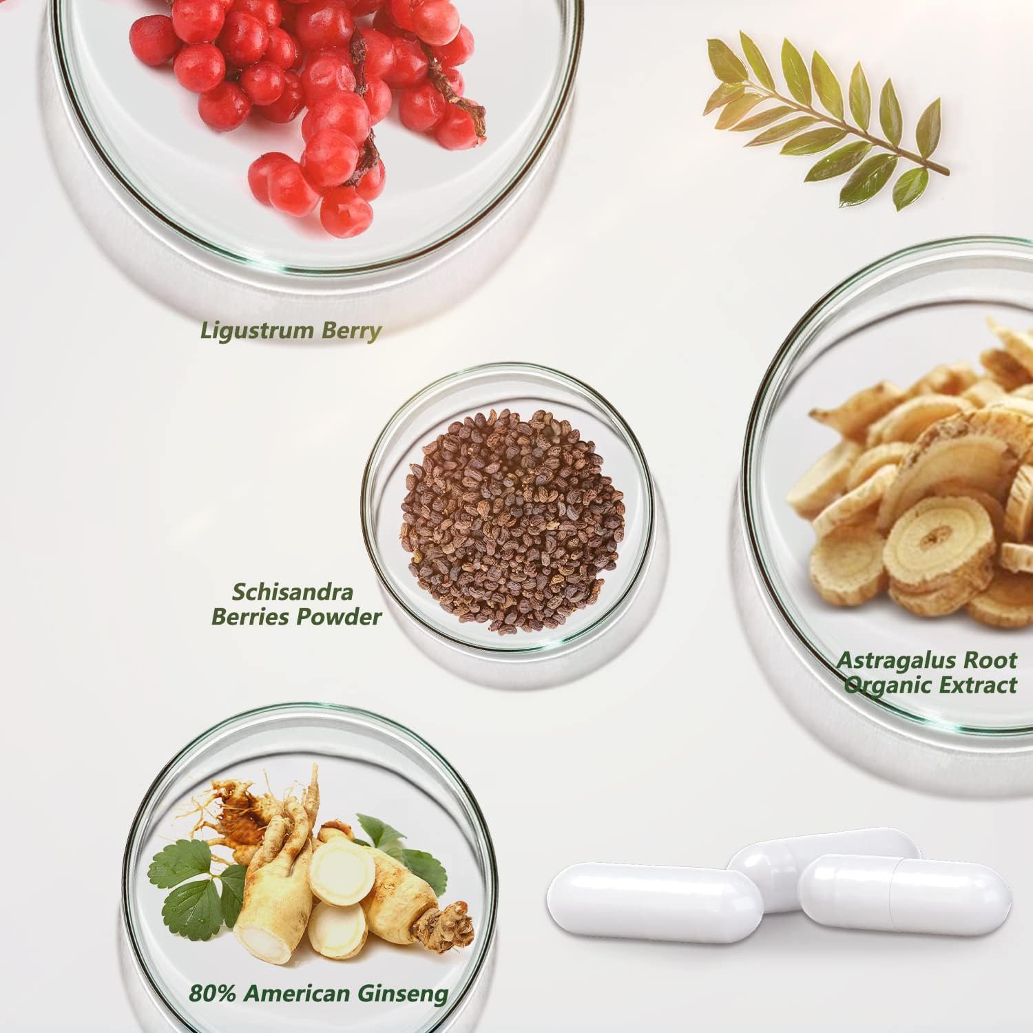 Organic Astragalus Root Extract Capsules with Schisandra Berries & American Ginseng - Immune Support & Anti-Aging Antioxidants - Made in USA