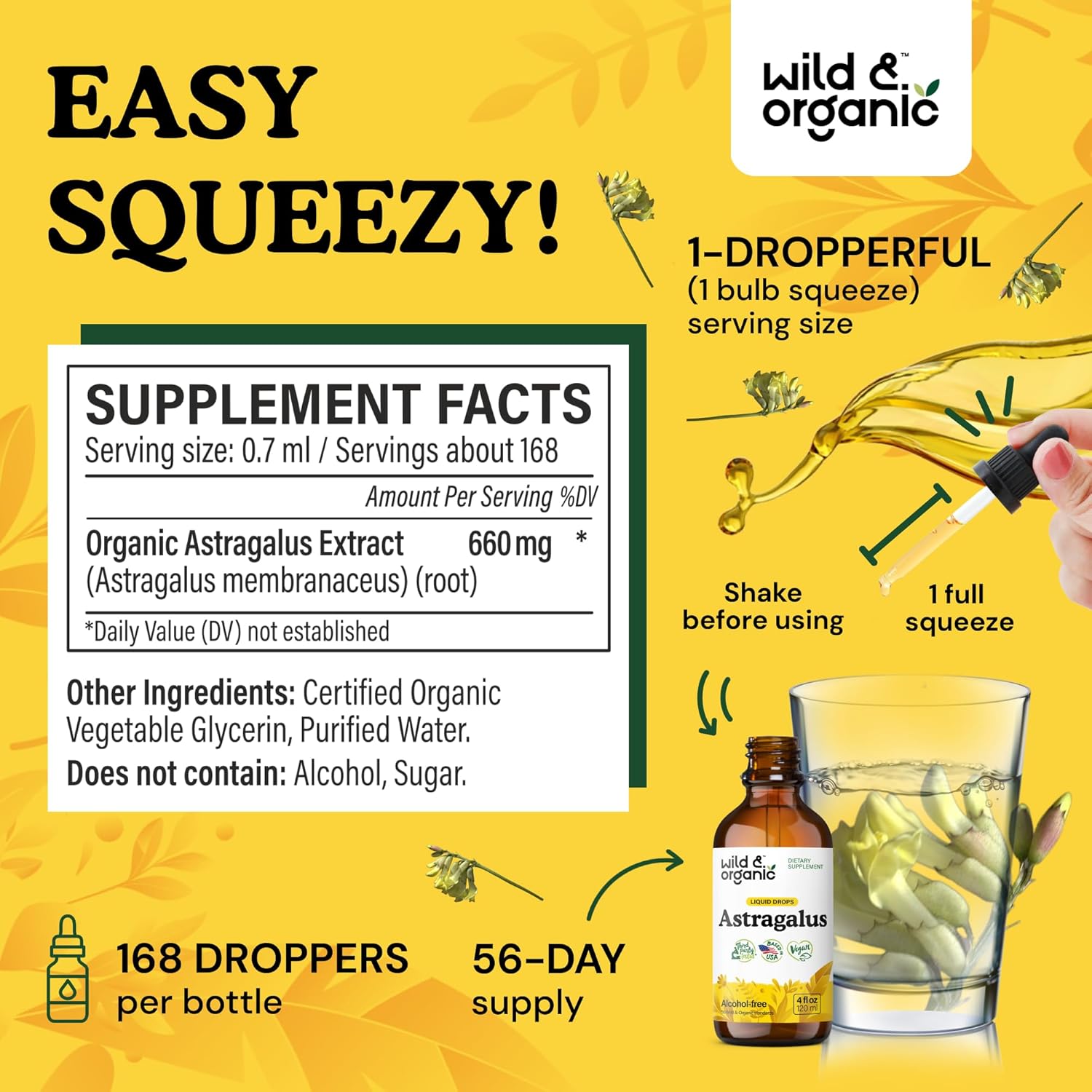 Organic Astragalus Root Extract Tincture - Immune Support Supplement for Vegan Immunity - Alcohol and Sugar-Free 4 fl oz Drops