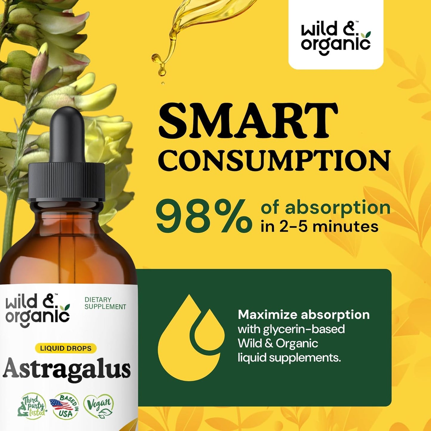 Organic Astragalus Root Extract Tincture - Immune Support Supplement for Vegan Immunity - Alcohol and Sugar-Free 4 fl oz Drops