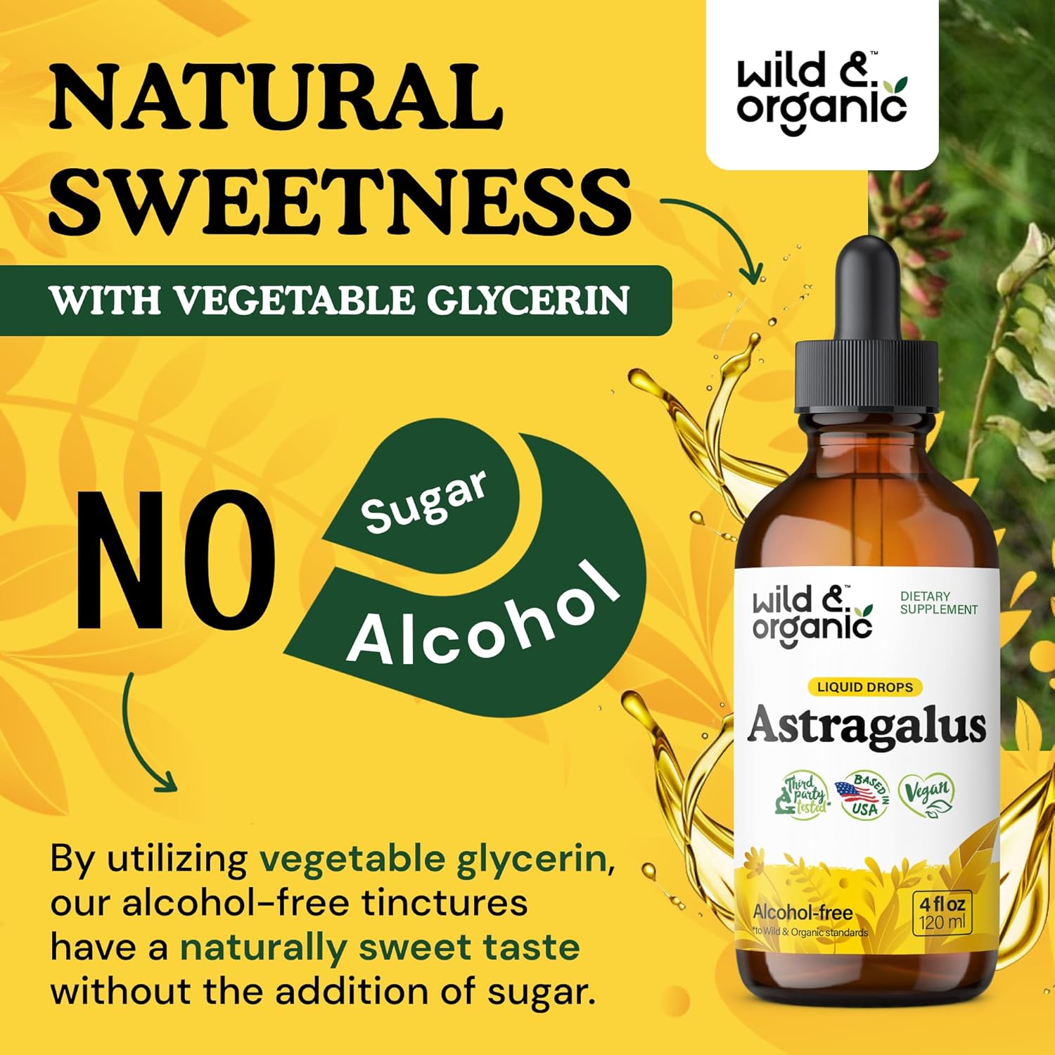 Organic Astragalus Root Extract Tincture - Immune Support Supplement for Vegan Immunity - Alcohol and Sugar-Free 4 fl oz Drops