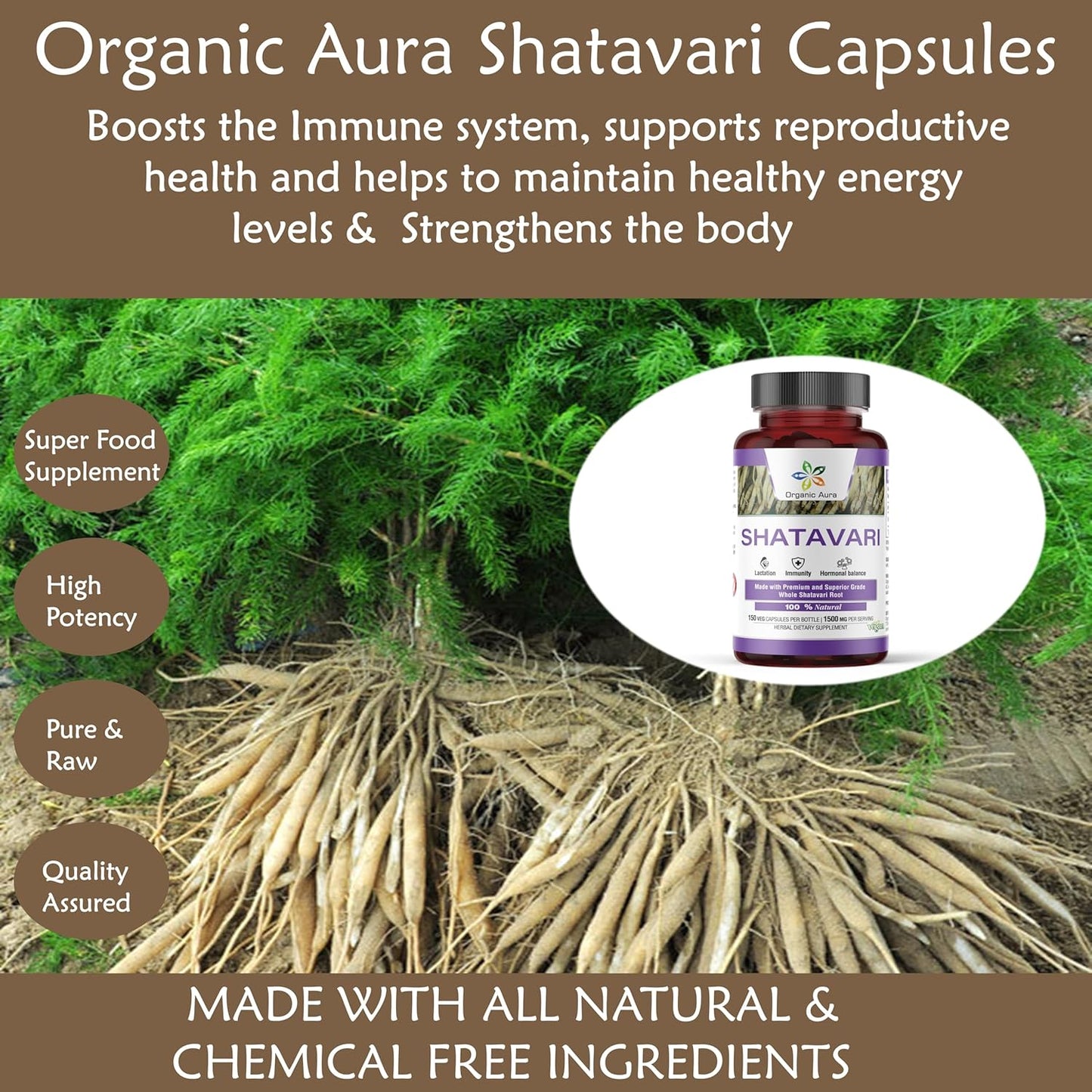 Organic Aura Shatavari Capsules - 150 Veg HPMC Capsules for Women's Health and Immunity - Natural Herbal Supplement