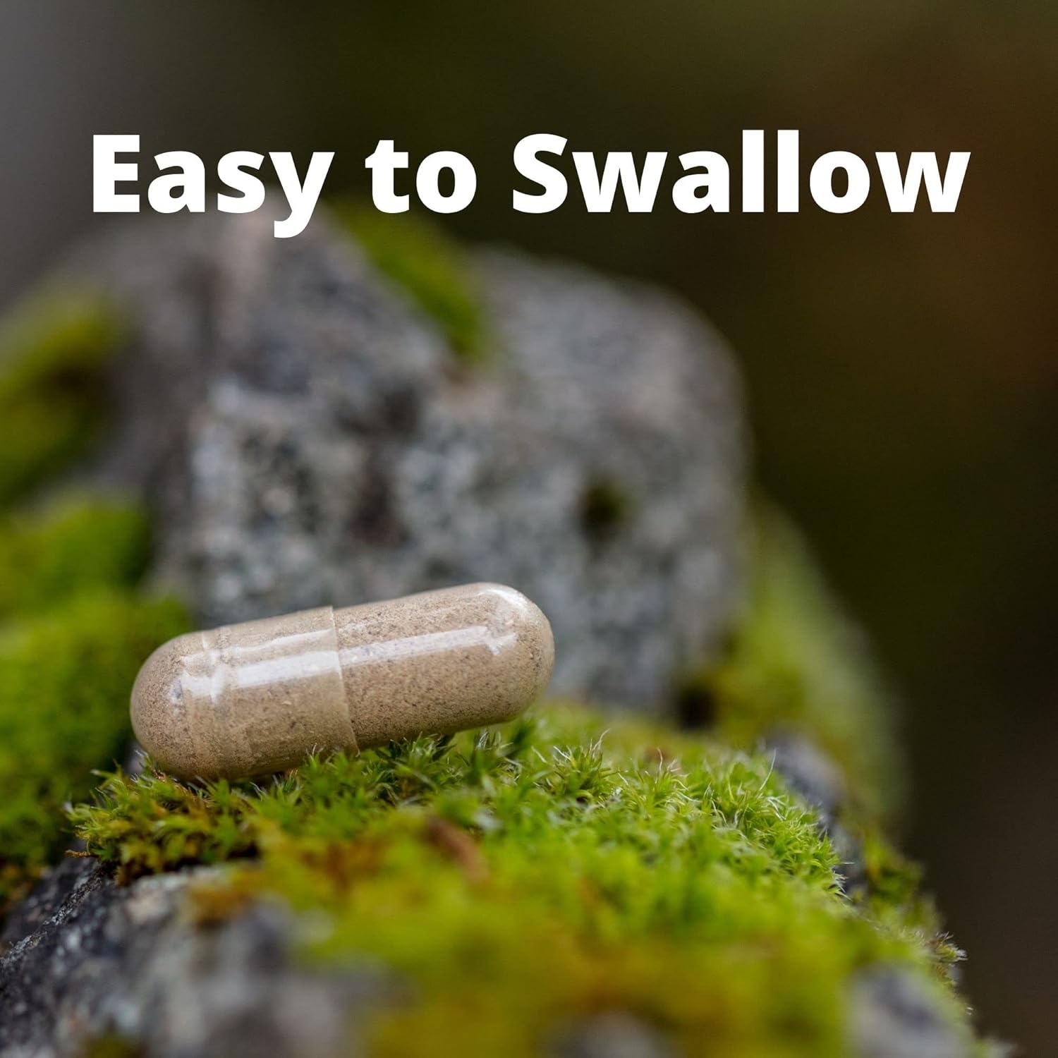 Organic Bacopa Monnieri Capsules - Vegan Supplement with Standardized Extract for Cognitive Support