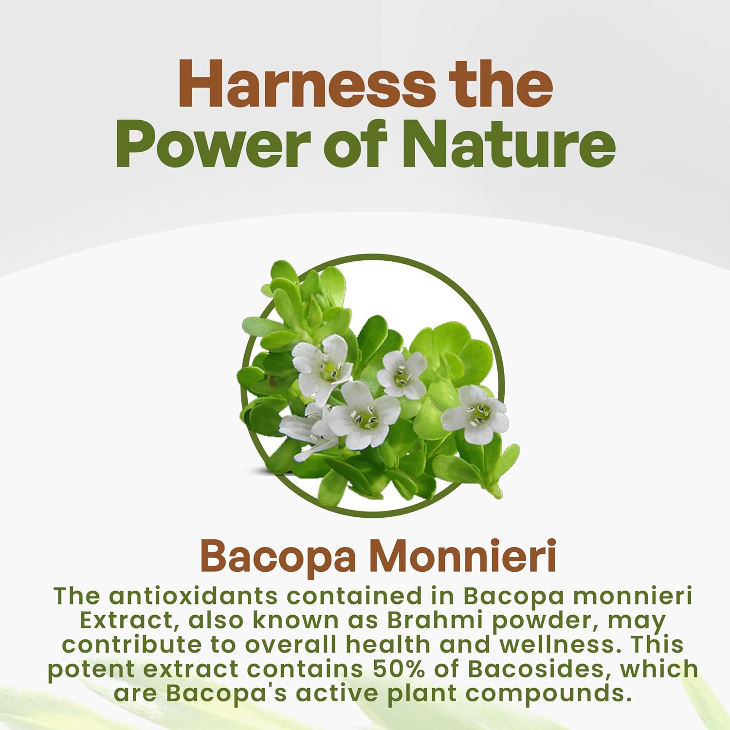 Organic Bacopa Monnieri Extract Powder - 50% Bacosides - Herbal Brahmi Supplement - 8 oz.