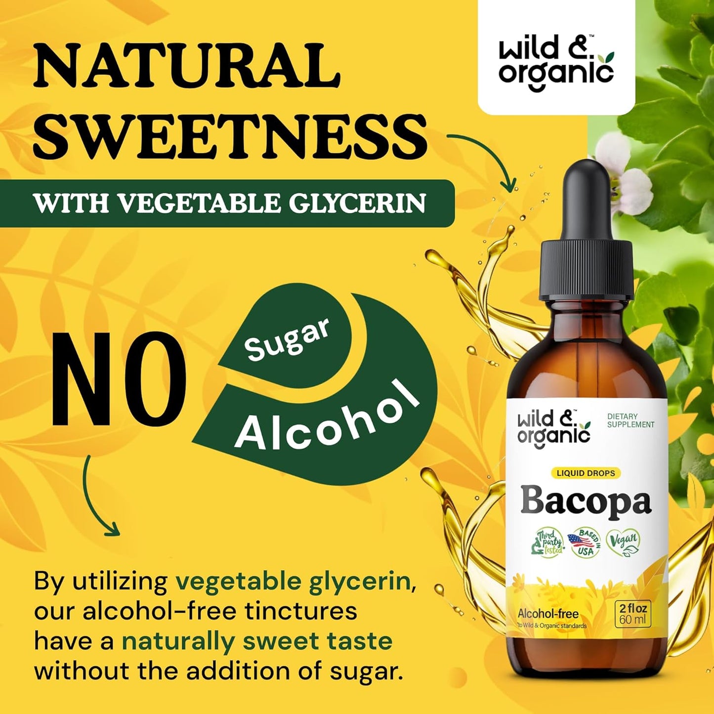 Organic Bacopa Tincture for Calm, Focus & Clarity - Alcohol-Free Brahmi Extract - Vegan Liquid Supplement - 2 fl oz