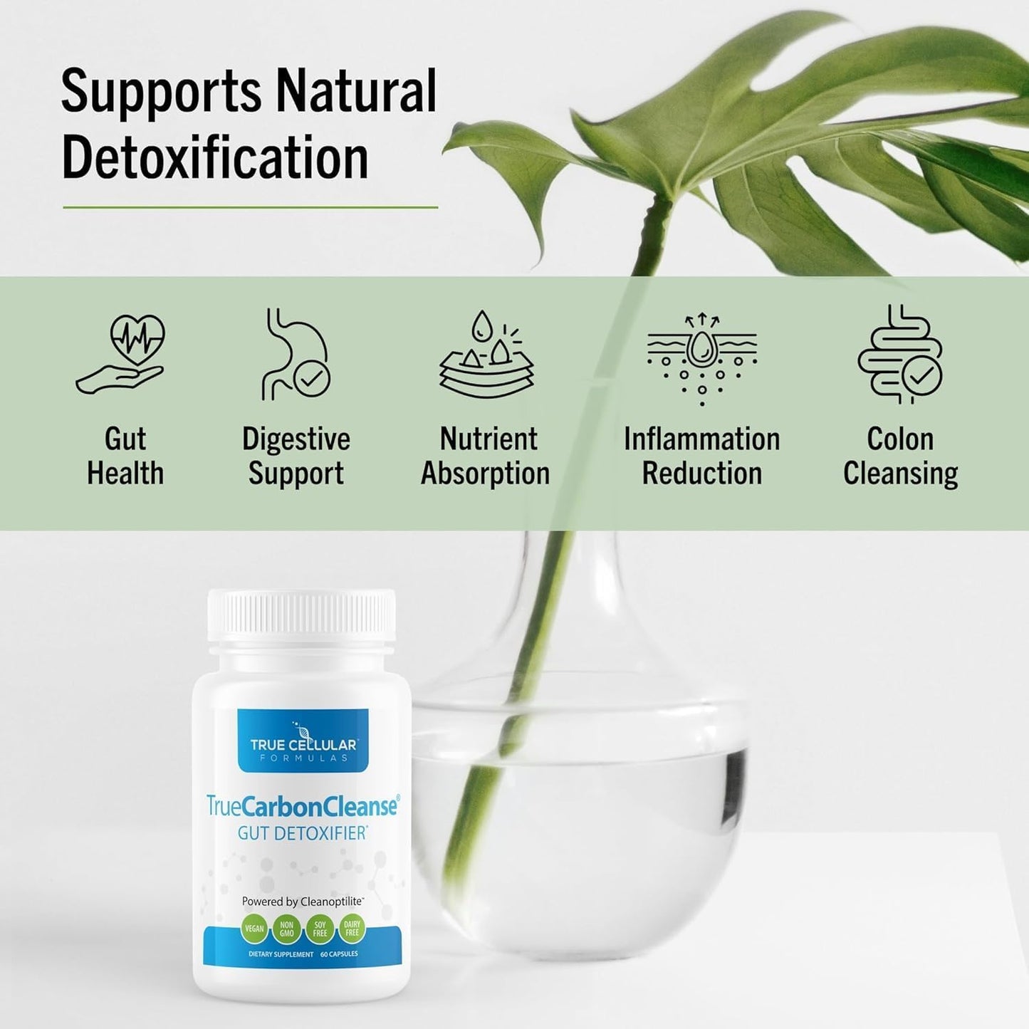 Organic Bamboo Activated Charcoal Capsules - Gut Detox & Binder - TrueCarbonCleanse™ - 60 Capsules - Vegan, Non GMO, Gluten & Soy Free