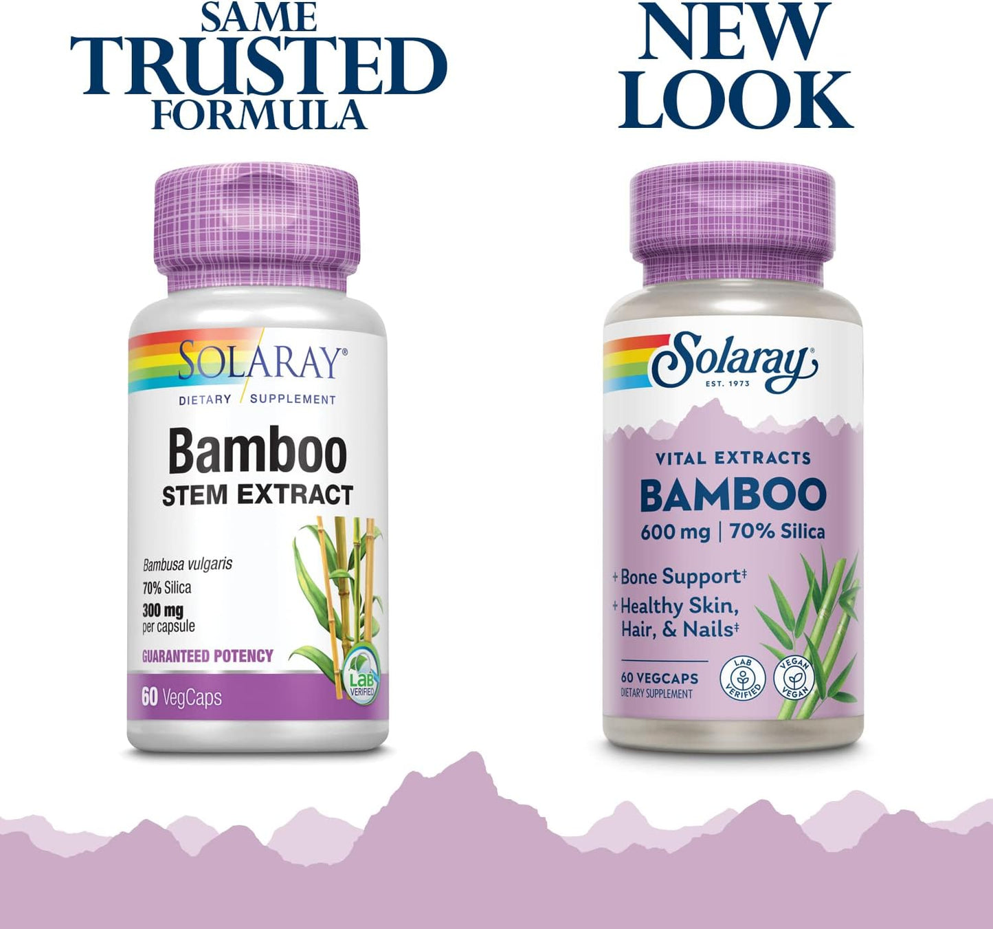 Organic Bamboo Stem Extract Capsules - 600mg | Supports Hair, Skin, Nails, Bones & Tissues | Non-GMO, Vegan, Lab Tested | 60 VegCaps