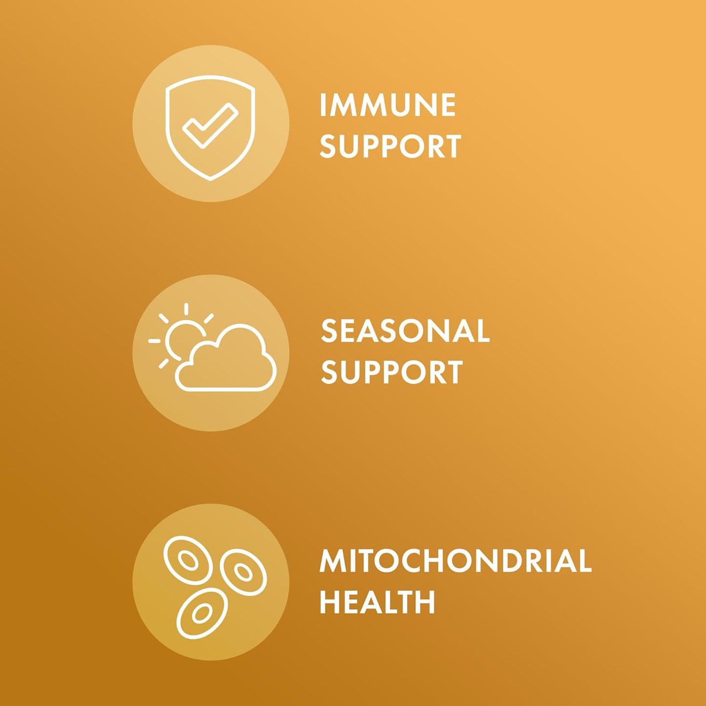 Organic Bee Propolis Capsules - 30 Servings, Dietary Supplement for Respiratory Health, Non-GMO, Certified USDA Organic by Dr. Mercola