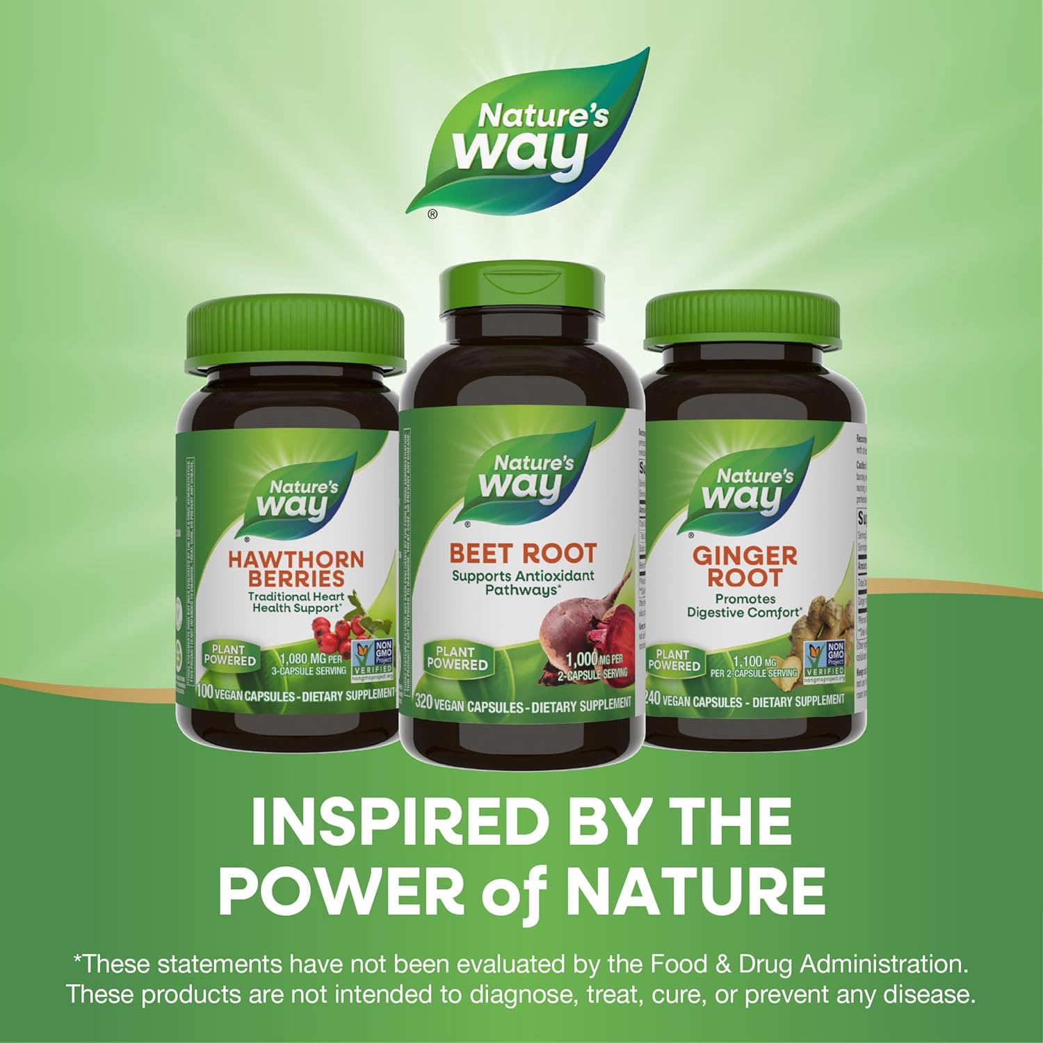 Organic Beet Root Capsules - 1,000 mg per Serving - Antioxidant Support - Vegan - 320 Capsules